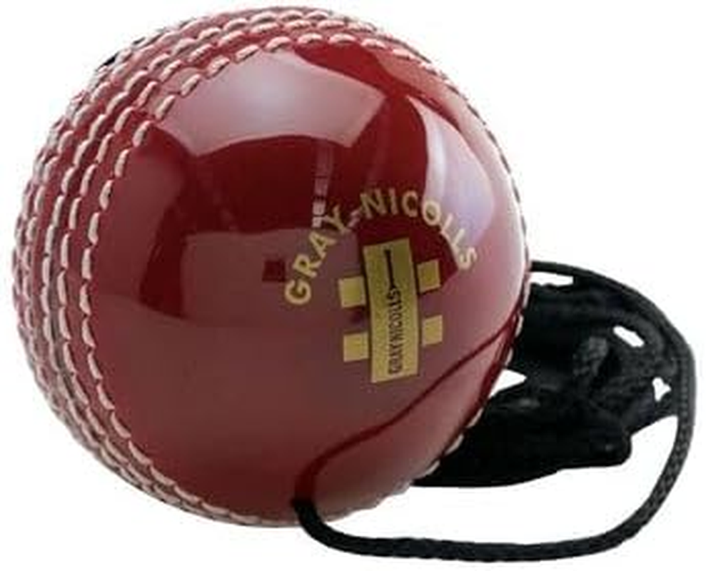 Gray-Nicolls Batting Master Hanging Ball Leather
