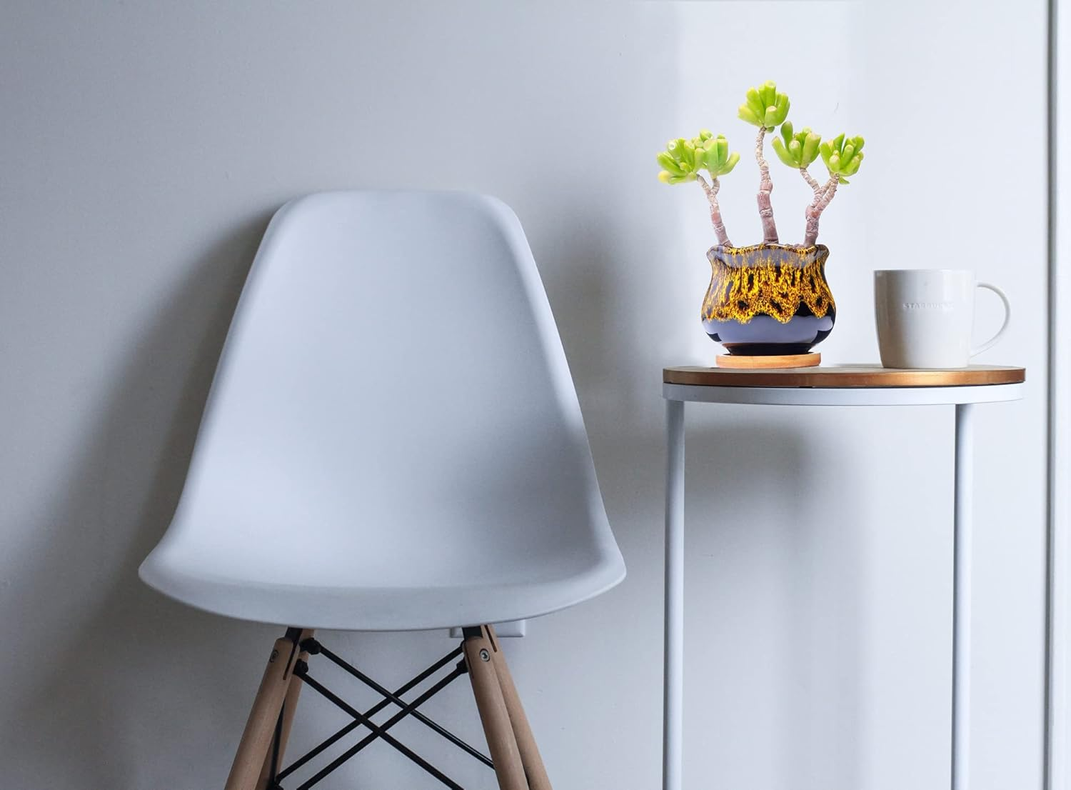 Cute Ceramic Succulent Garden Pots, Planter with Drainage and Attached Saucer, Set of 5 -Plants Not Included (Fambe)