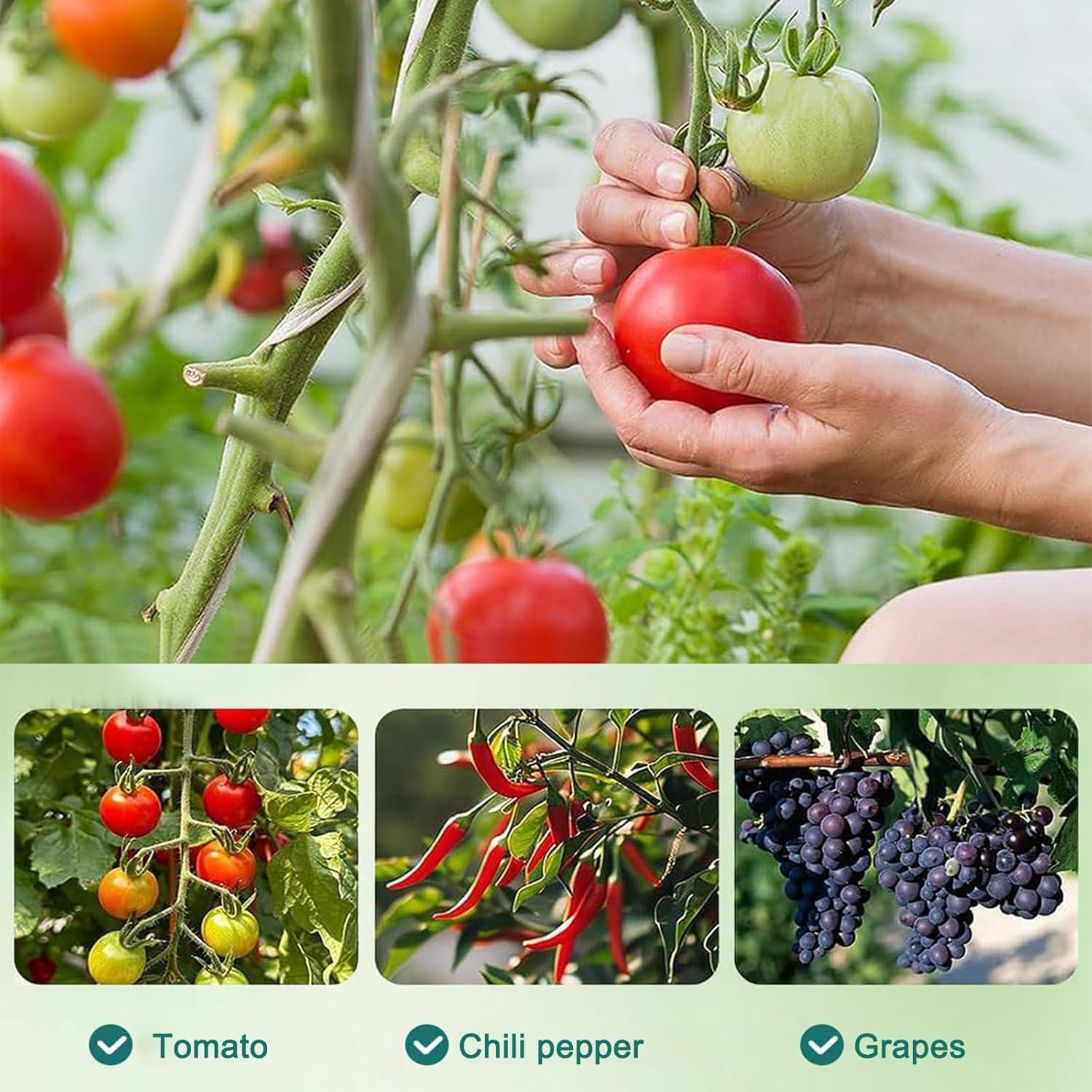 6PCS Green Tomato Spiral Stakes, Heavy Duty Plant Supports for Tomatoes, Peppers, Cucumbers, Vines Vegetables, Reusable Garden Stakes with Spiral Design image number 4