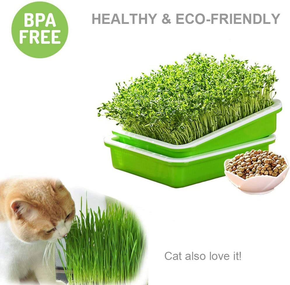 SUNPRO 2-Pack Seed Sprouter Tray BPA Free PP Soil-Free Big Capacity Healthy Wheatgrass Grower Sprouting Container Kit with Lid (2, Green) image number 5
