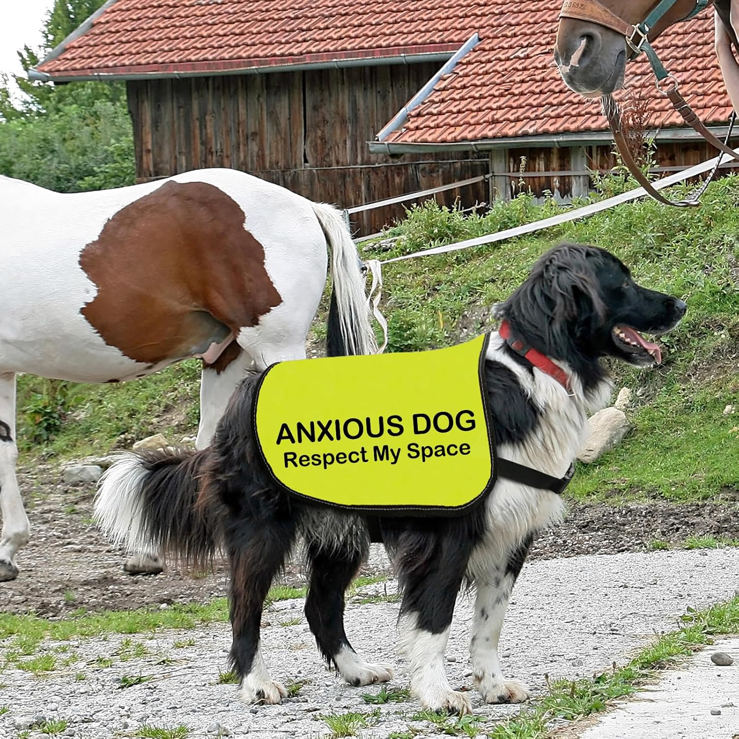 Anxious Dog Jacket - Respect My Space Walking Slogan Warning Vest (Small) - Anxious Dog Space-Medium image number 2