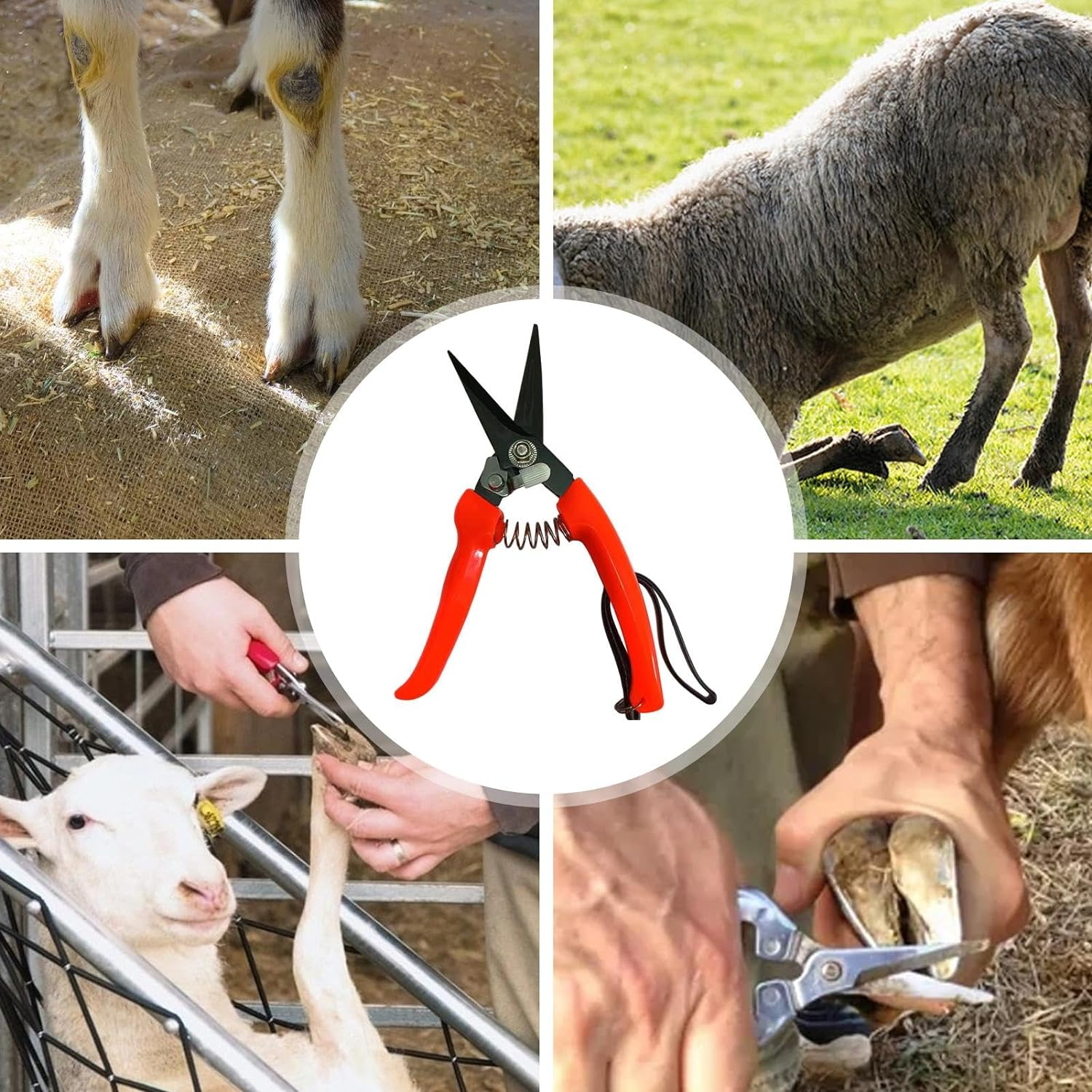 Goat Hoof Trimmer | Ergonomic Sheep Hoof Shears with Spring Load | Precision Nail Clippers for Alpaca, Lamb, Sheep, Hooves image number 1