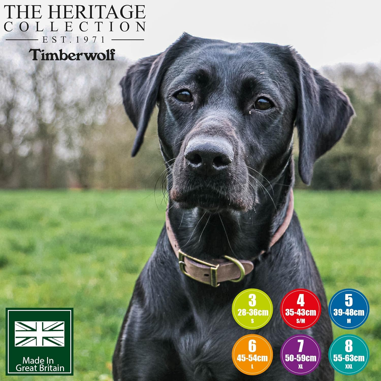 Ancol Timberwolf round Leather Collar image number 2