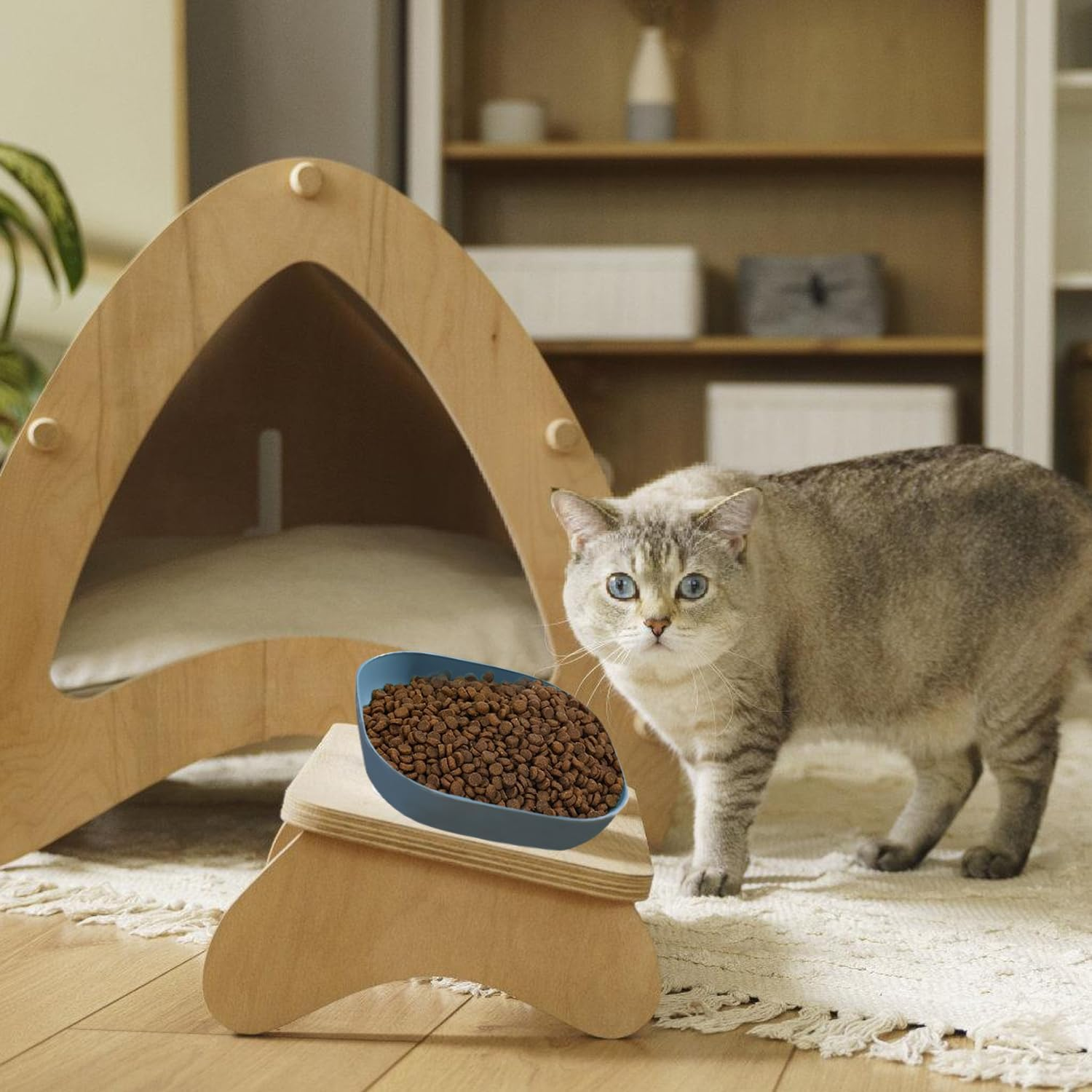 HOMURY Cat Feeding Bowl Set of 9, Square Cat Plate, Flat Cat Bowl, Cat Bowl, Small Cat Feeding Bowl, Cat Bowl for Dry Food and Wet Food image number 3