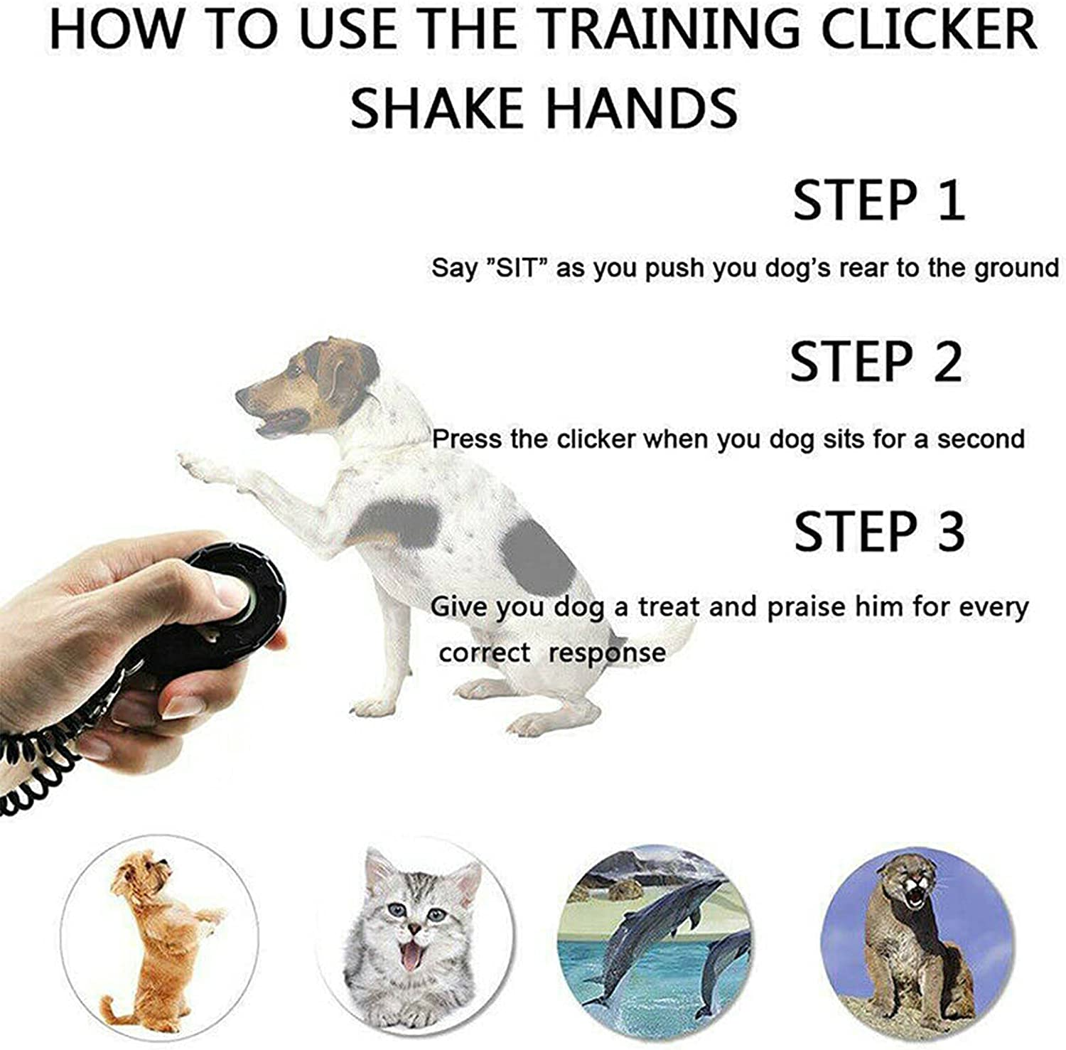 Dog Clickers with Training Whistle Kit, MH MOIHSING Trasonic Silent Dog Whistle Adjustable Frequencies, Professional Training Clicker with Lanyard for Puppies Dogs Pet Stop Barking and Recall Training image number 2