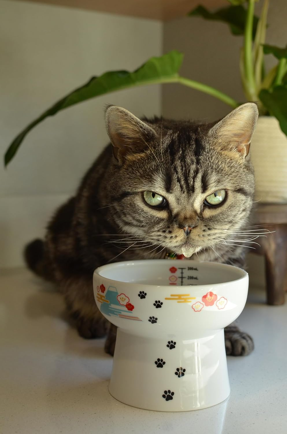 Necoichi Elevated Ceramic Cat Bowls - Raised Food and Water Dishes for Indoor Cats, Kittens, Small Pets - Whisker Friendly, Anti-Spill, 4.1" Fuji Style