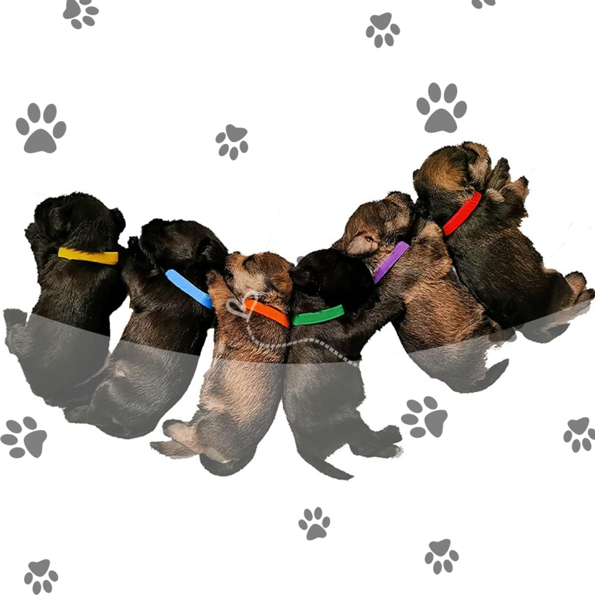 15 Colors Puppy ID Collars Whelping Newborn Soft Fabric Adjustable Identification Double-Sided Collar Reusable for Pet Dog Band Cat 10 Inches image number 5