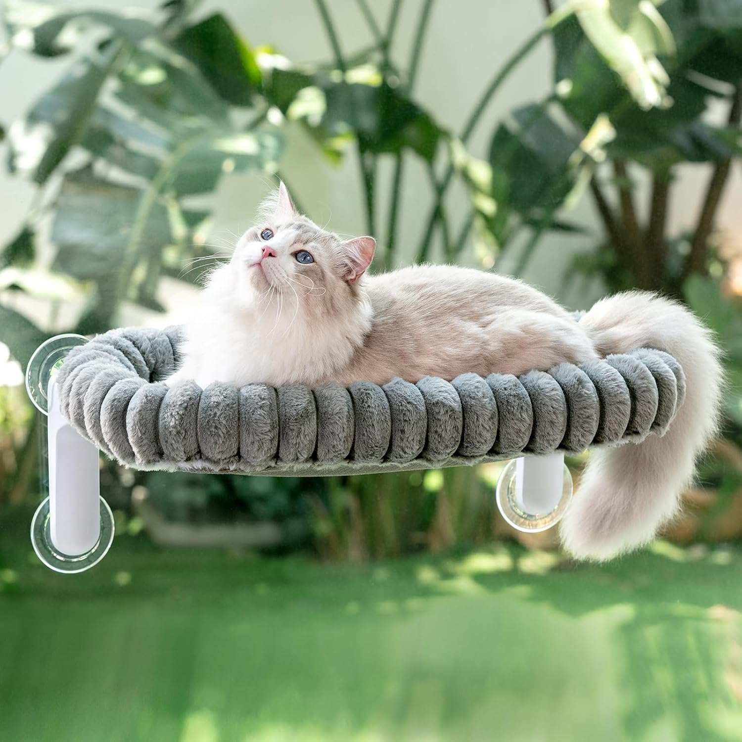 Sunhoo Cat Window Perch Bed Foldable Kitty Windowsill Hammock Shelf Seat Large Cats Suction Cup Indoor Kitten Window Sill Lounger with Soft Plush Cushion Machine Washable 21.26 * 11.8In (White, M)