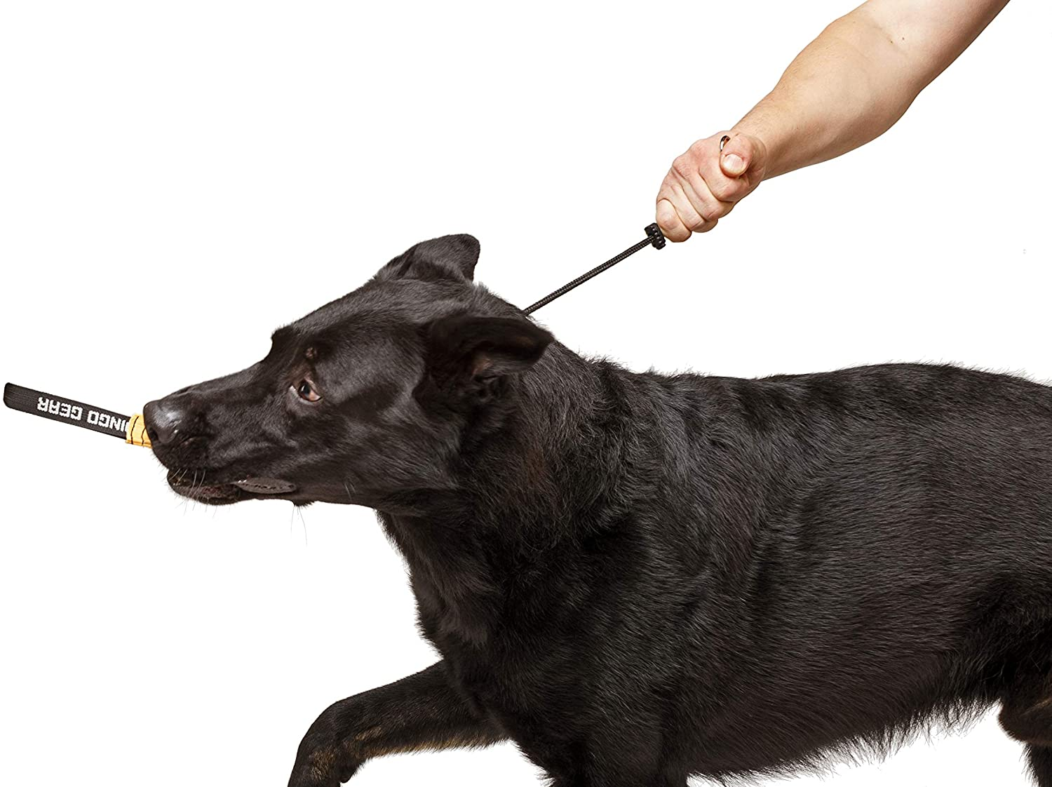 Dingo Gear Choke Collar for Dog Training Handmade of Cord with a Limiter, Waterproof Black S04062, XL image number 5