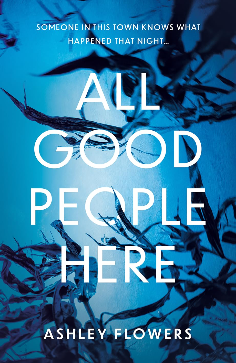 All Good People Here: the Gripping Debut Crime Thriller from the Host of the Hugely Popular #1 Podcast Crime Junkie, a No1 New York Times Bestseller