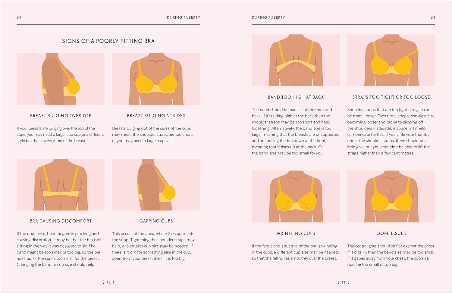 Breasts: an Owner'S Guide