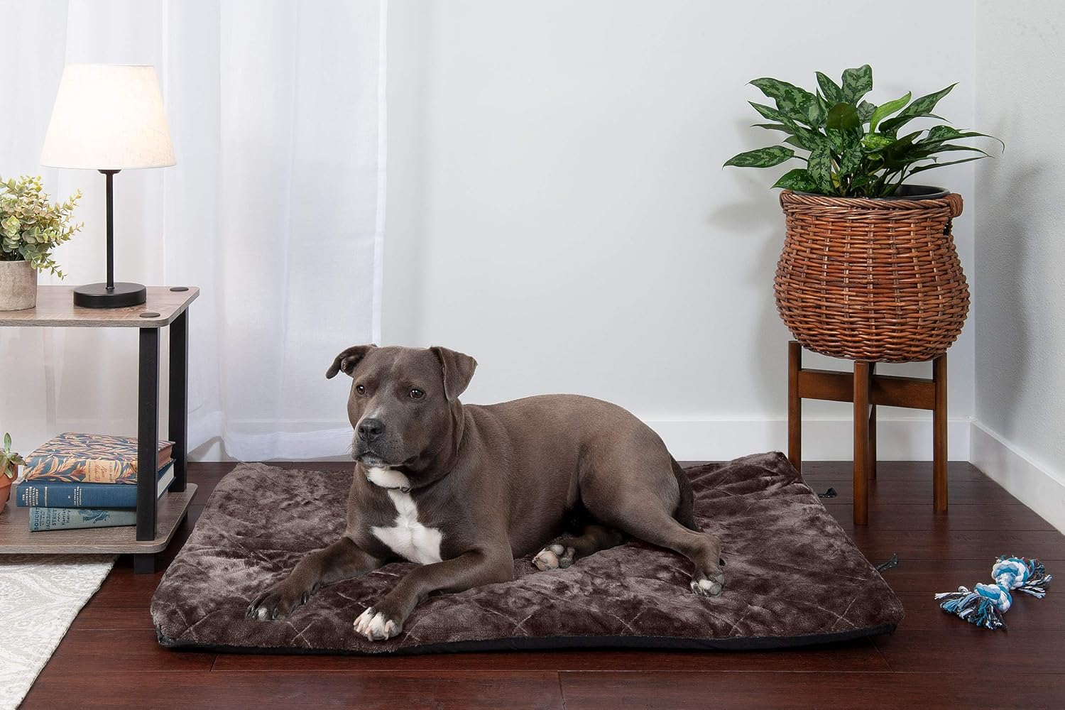 Furhaven Pet Kennel Pad | Reversible Two-Tone Water-Resistant Crate or Kennel Pad Pet Bed for Dogs & Cats, Green, Medium