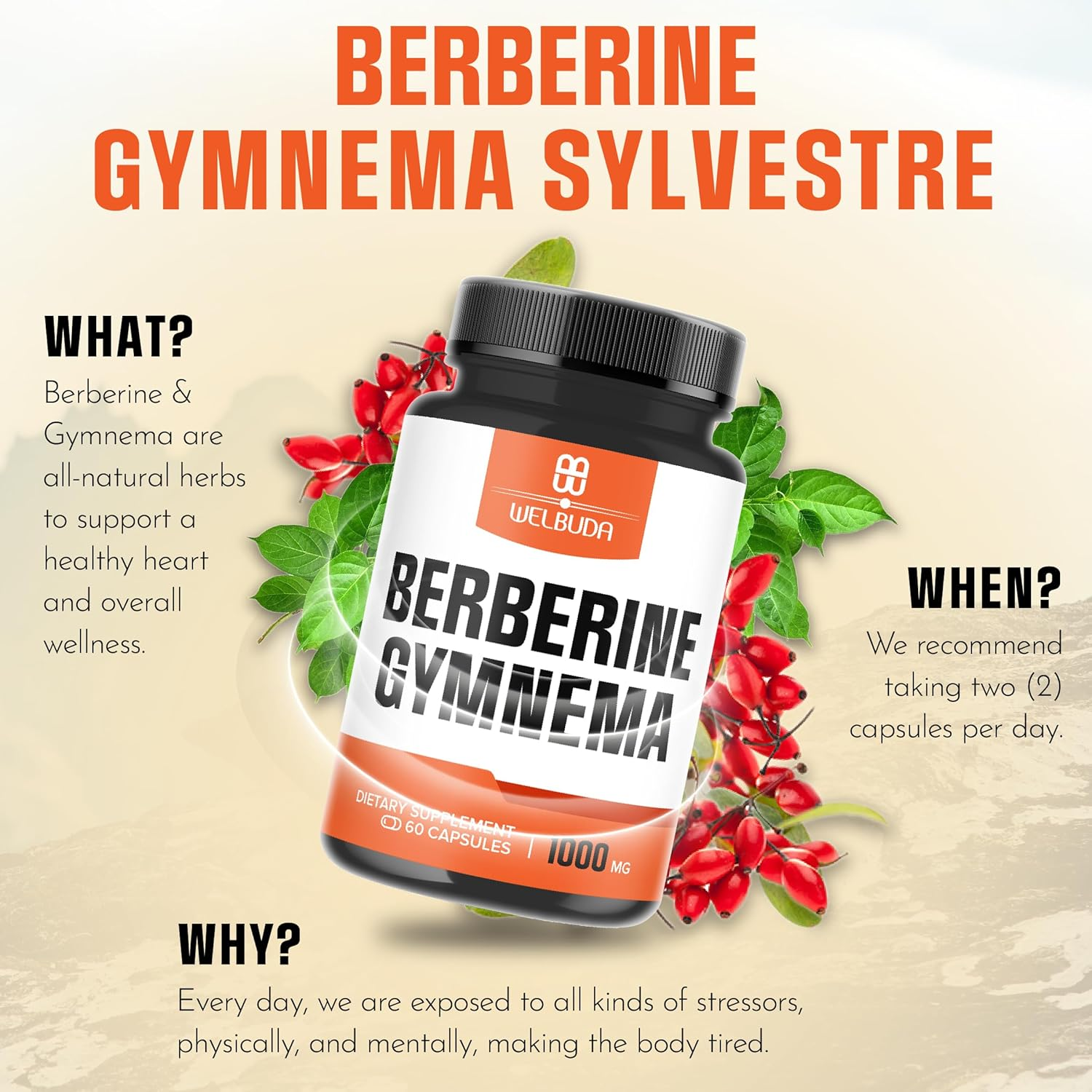 Berberine Supplement with Gymnema Sylvestre Leaf - 60 Capsules image number 4