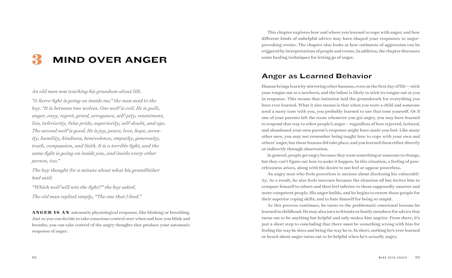 Anger Management Workbook for Men: Take Control of Your Anger and Master Your Emotions image number 4