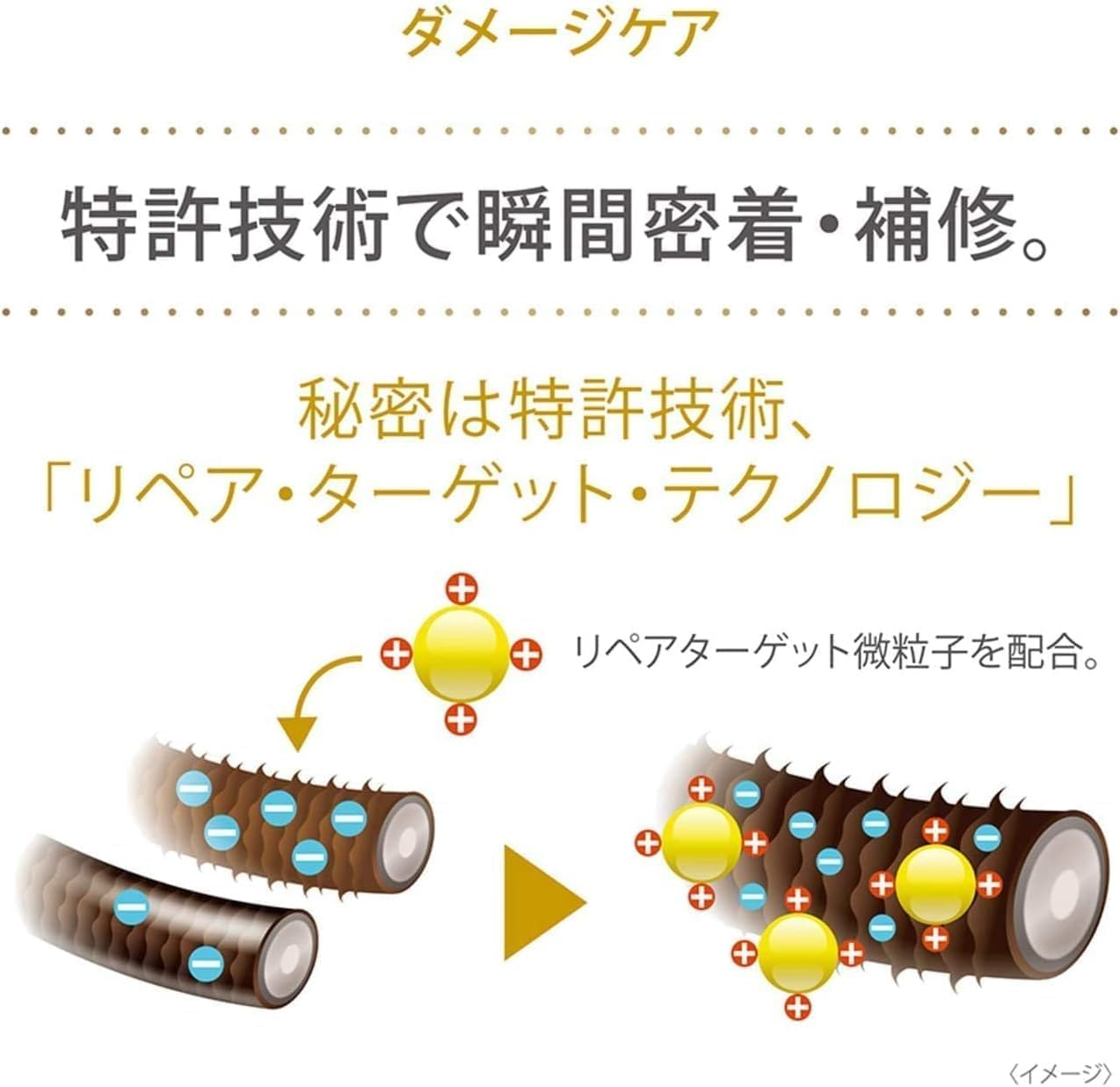 Dove Shampoo Refill, Large Capacity, 4.4 Lbs (2 Kg), Damage Care image number 1