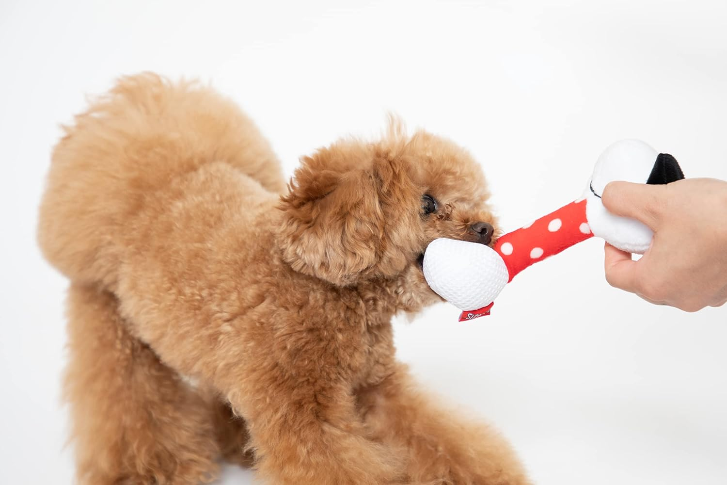 PEANUTS Sound Toy Snoopy Carakara Toy for Dogs