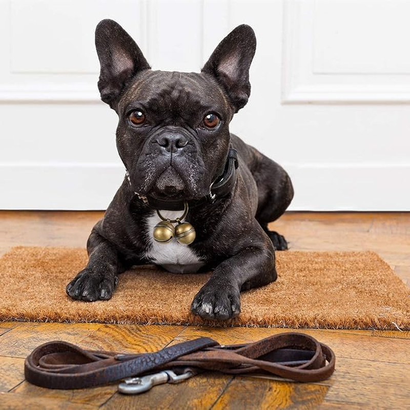 2 Strings in 4 Pieces Dog Cat Bells for Collar Loud Brass Pet Bells with Key Rings Pendant Accessories Pet Tracker for Training