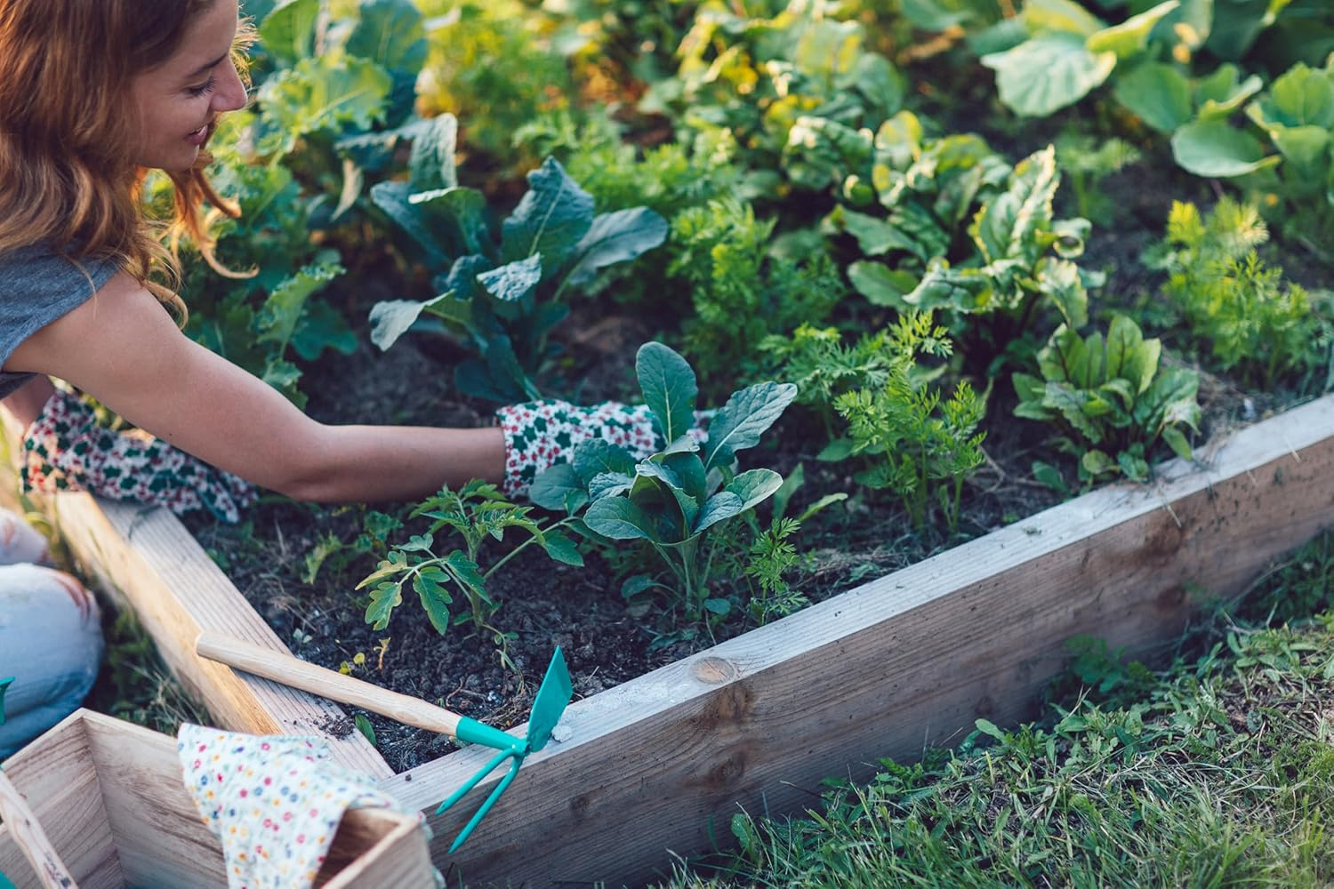 Debco Garden Premium Planting Mix 25L image number 2