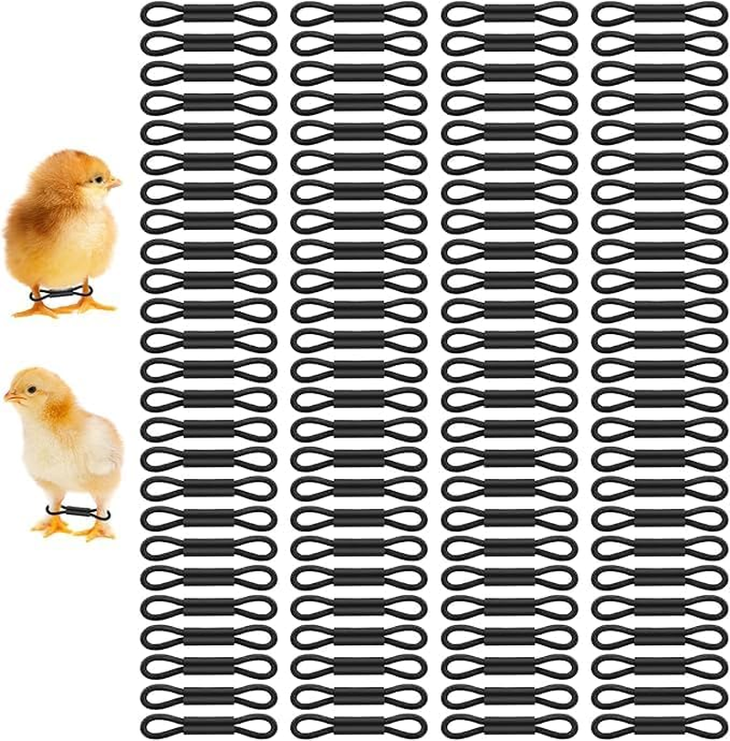 Ksngtixe 100Pcs Elastic Chick Leg Bands - Poultry Leg Braces for Chicks, Quail, Ducks, Pigeons, Splay Foot Correction for Small Birds image number 2