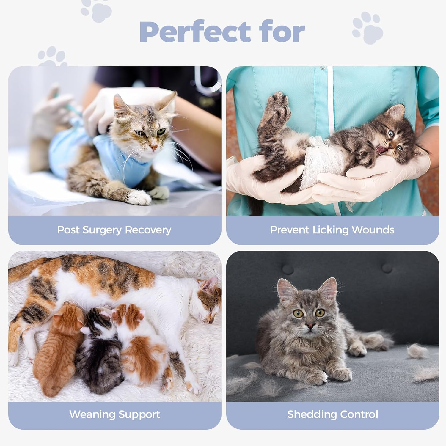 Avont Cat Recovery Suit&ndash;Soft Post-Surgery Onesie, Breathable Cone-Of-Shame Alternative for Spayed Females Cat, Skin Wound Care -Purple(S) image number 5