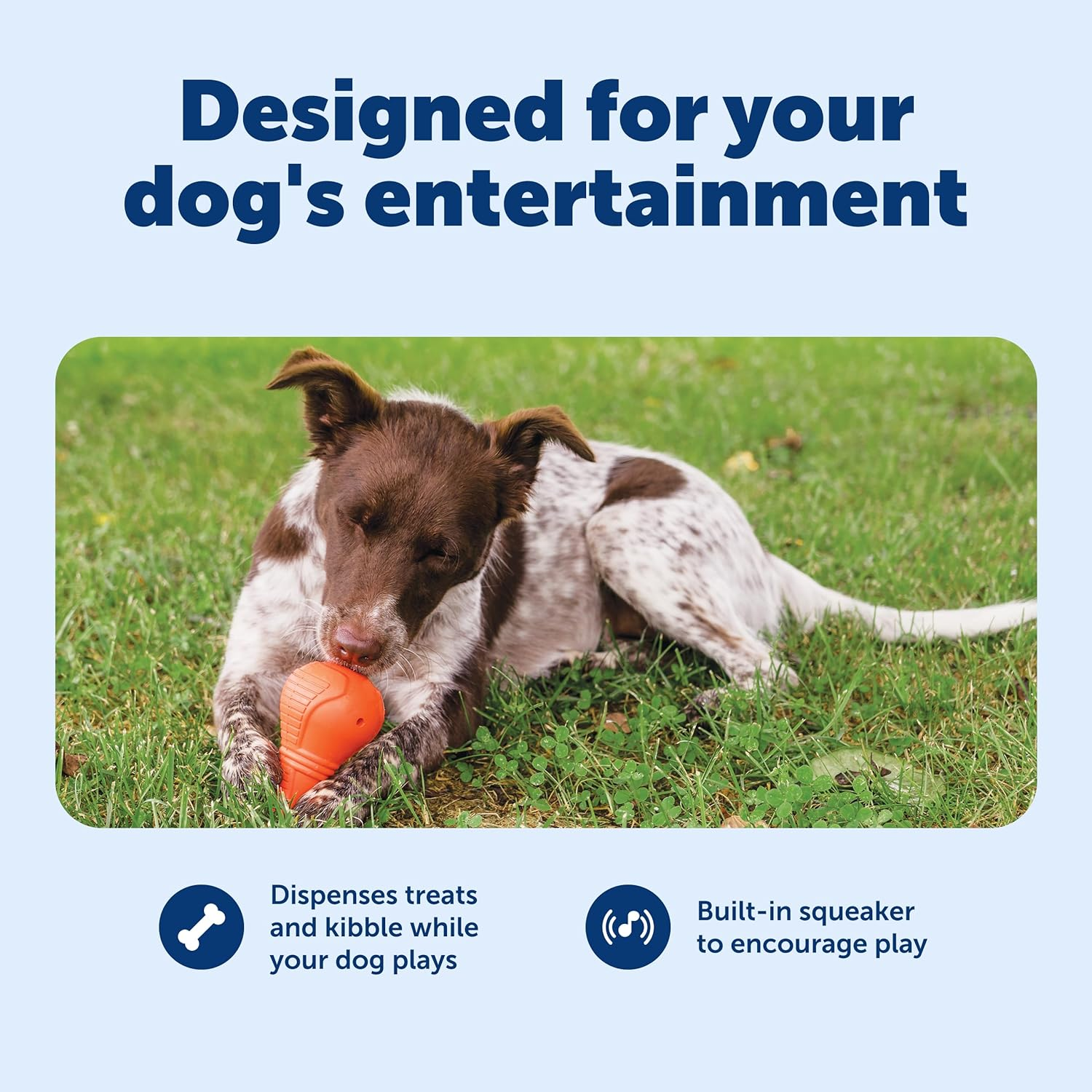 Petsafe Squeak N&rsquo; Treat Booya - Cure Boredom & Reduce Separation Anxiety - Food-Dispensing Dog Toy - Squeaker Encourages Play - Slow down Eating - Helps Clean Teeth - Dishwasher Safe - Medium image number 2