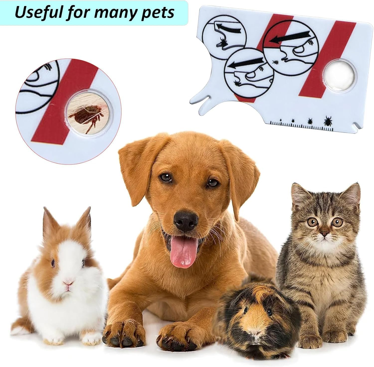 JCUQGDOO Tick Card for Human, Dog, Cat, Pack of 2 Tick Cards Children with Magnifying Glass, Quick Cleaning of Ticks, Tick Card for People, Children, Dogs, Cats image number 6