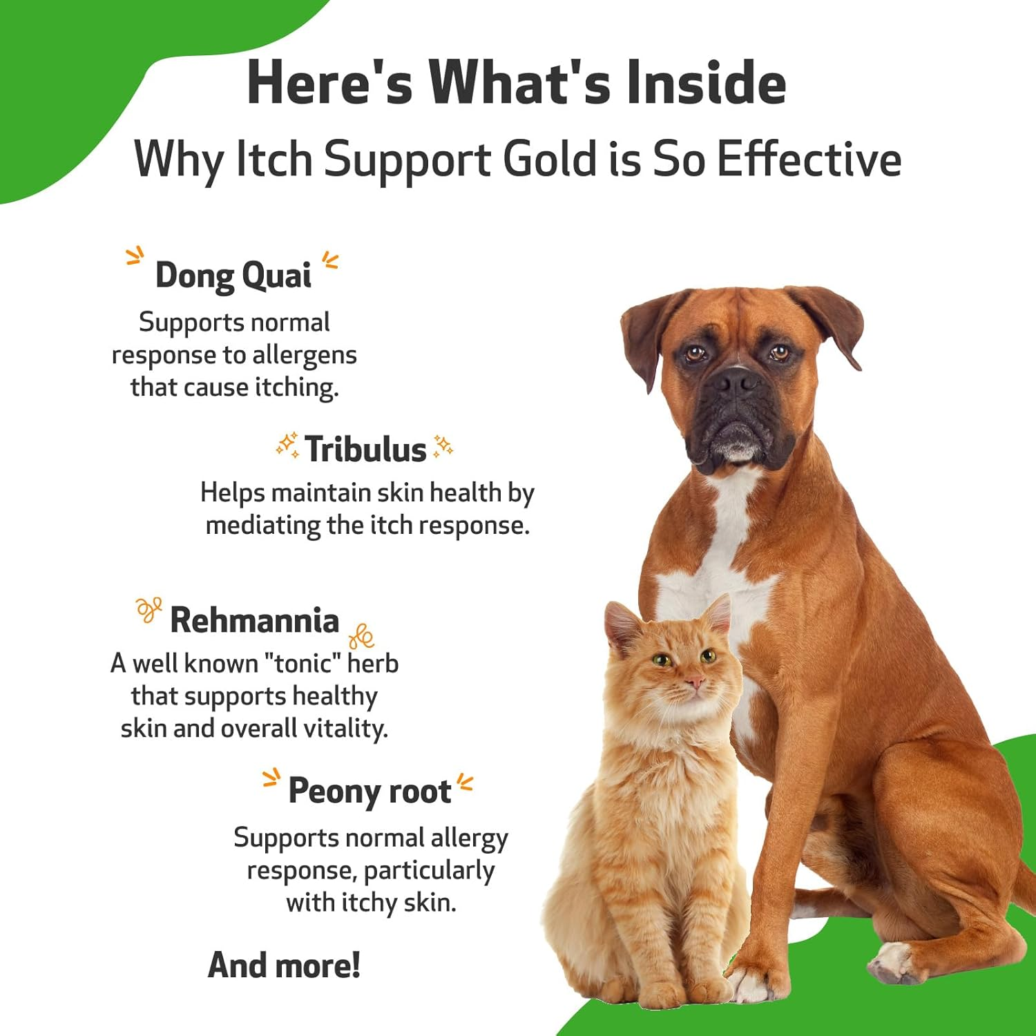 Pet Wellbeing Itch Support Gold for Dogs & Cats - Occasional Itching, Scratching, and Hot Spots, Environmental & Seasonal Allergies, Dong Quai - Veterinarian-Formulated Herbal Supplement 4 Oz (118 Ml) image number 4