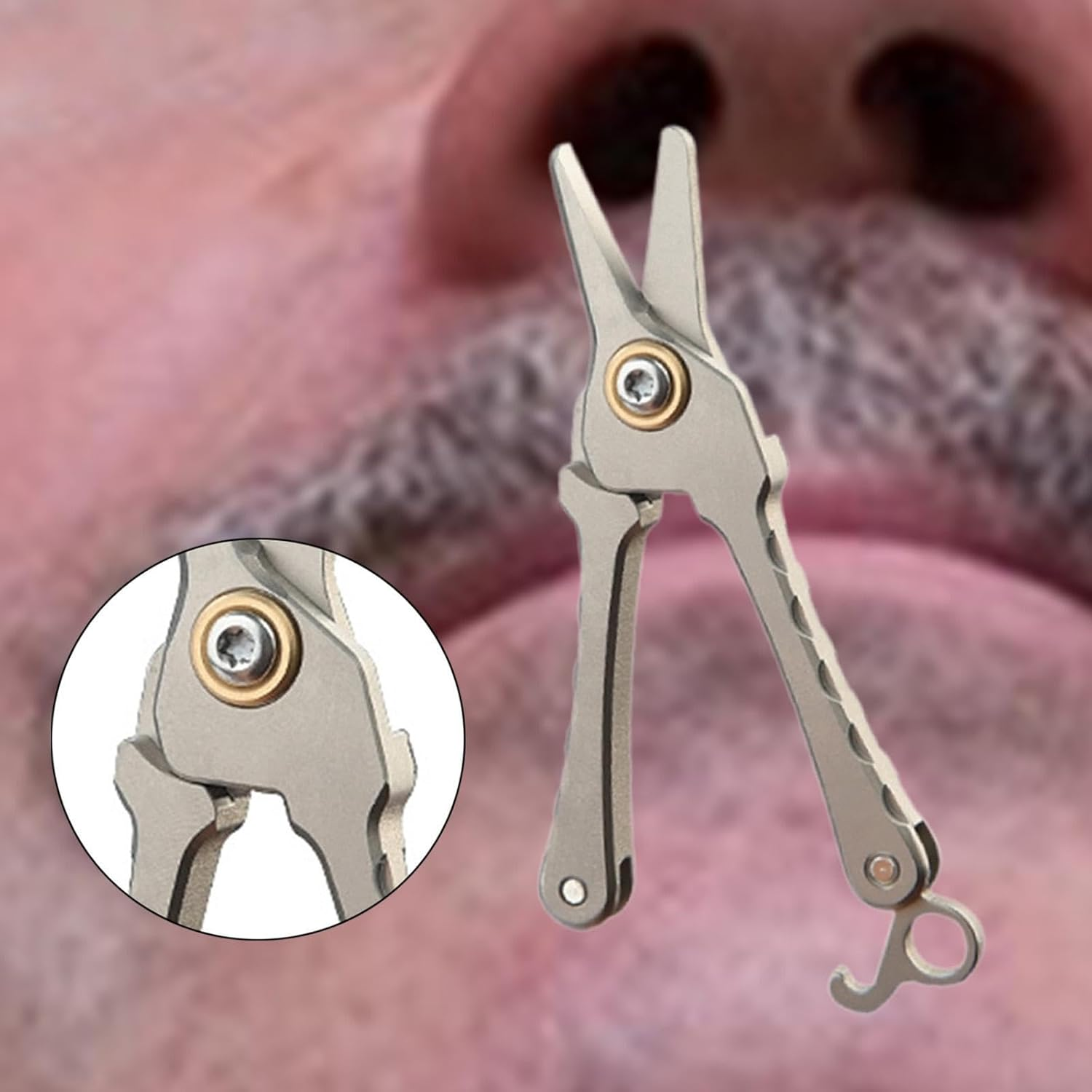 Eigell Men'S Nose Hair Scissors, Makeup Beauty Tool,Facial Trimmer, Facial Hair Trimming Tool,For Eyelashes image number 1