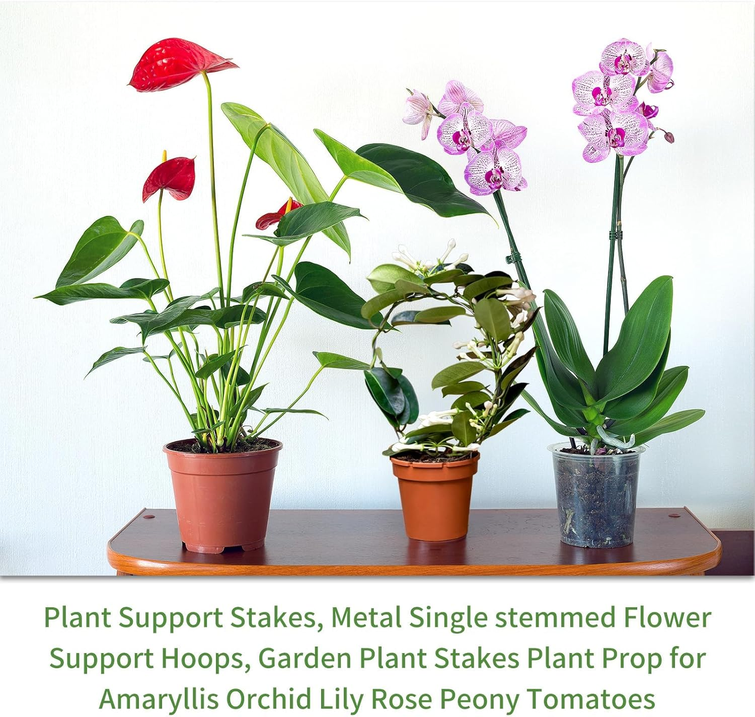 10Pcs Plant Support Stakes with 15 Pcs Clips, 16-Inch Tall Bendable Single Stem Flower Sticks for Indoor and Outdoor Plants, Orchid Clips (Green) image number 4