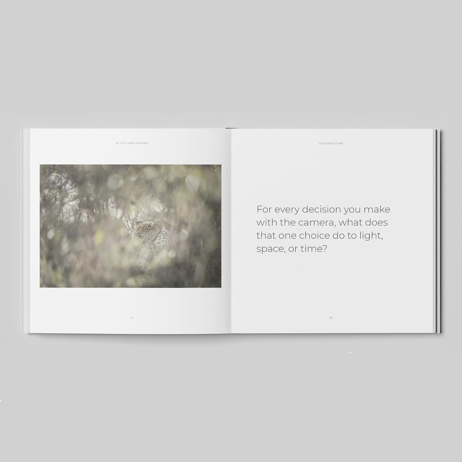 Light, Space, and Time: Essays on Camera Craft and Creativity image number 1