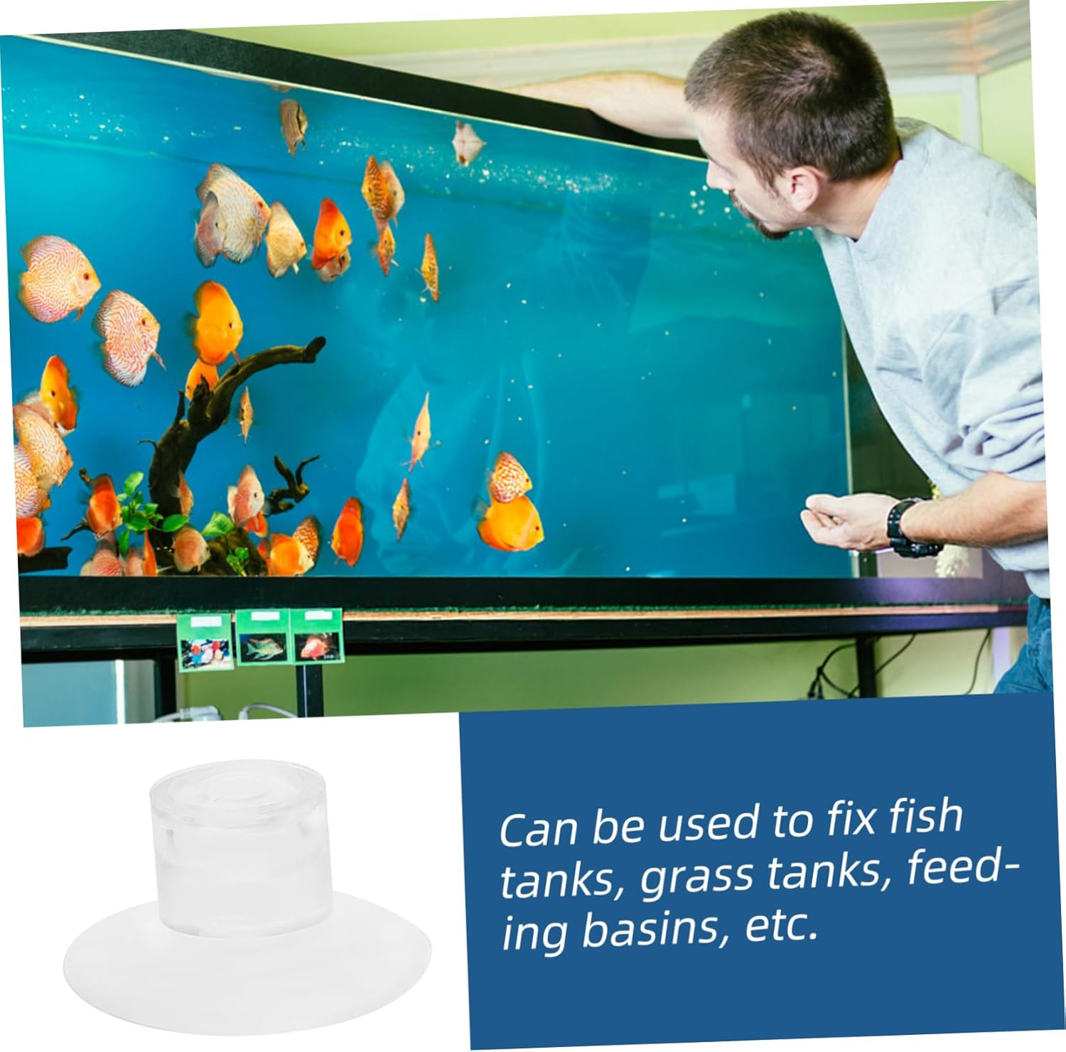 VANZACK 50Pcs Aquarium Feeder Cups for Fish Tank Holders for Easy Installation and Secure Feeding for Aquatic Plants and Decorations image number 4