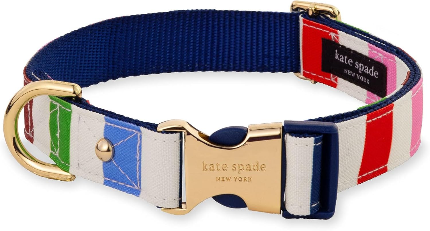 Kate Spade New York Cute Dog Collar, Gold Metal Buckle Dog Collar, 15.5" to 24" Adjustable Dog Collar for Female or Male Dogs, Stylish Dog Collar for Medium and Large Breeds (Adventure Stripe) image number 5