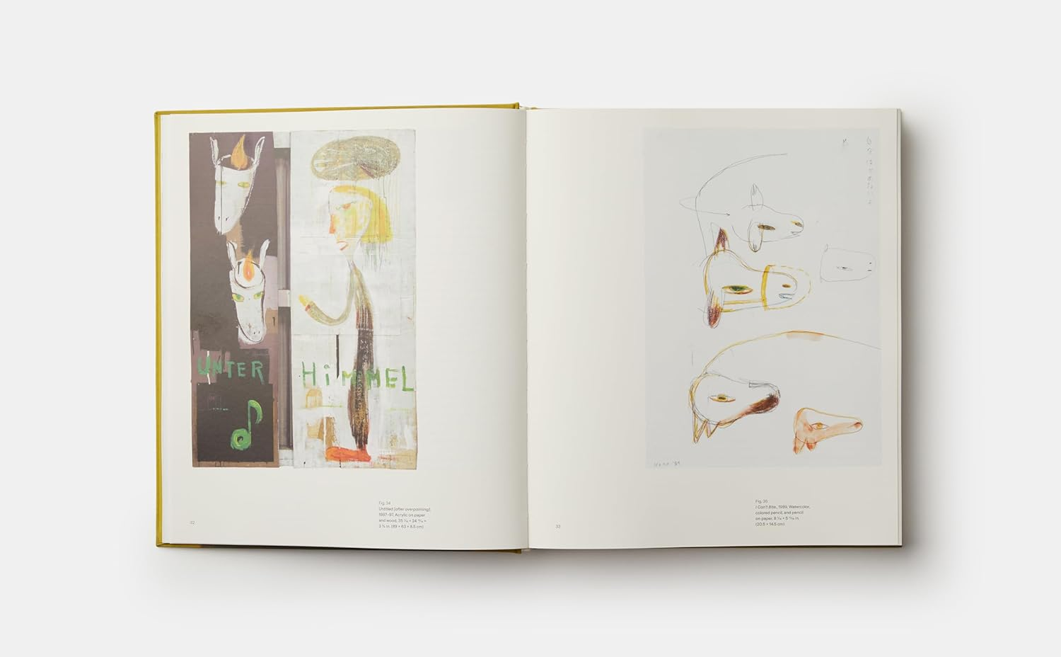 Yoshitomo Nara image number 6