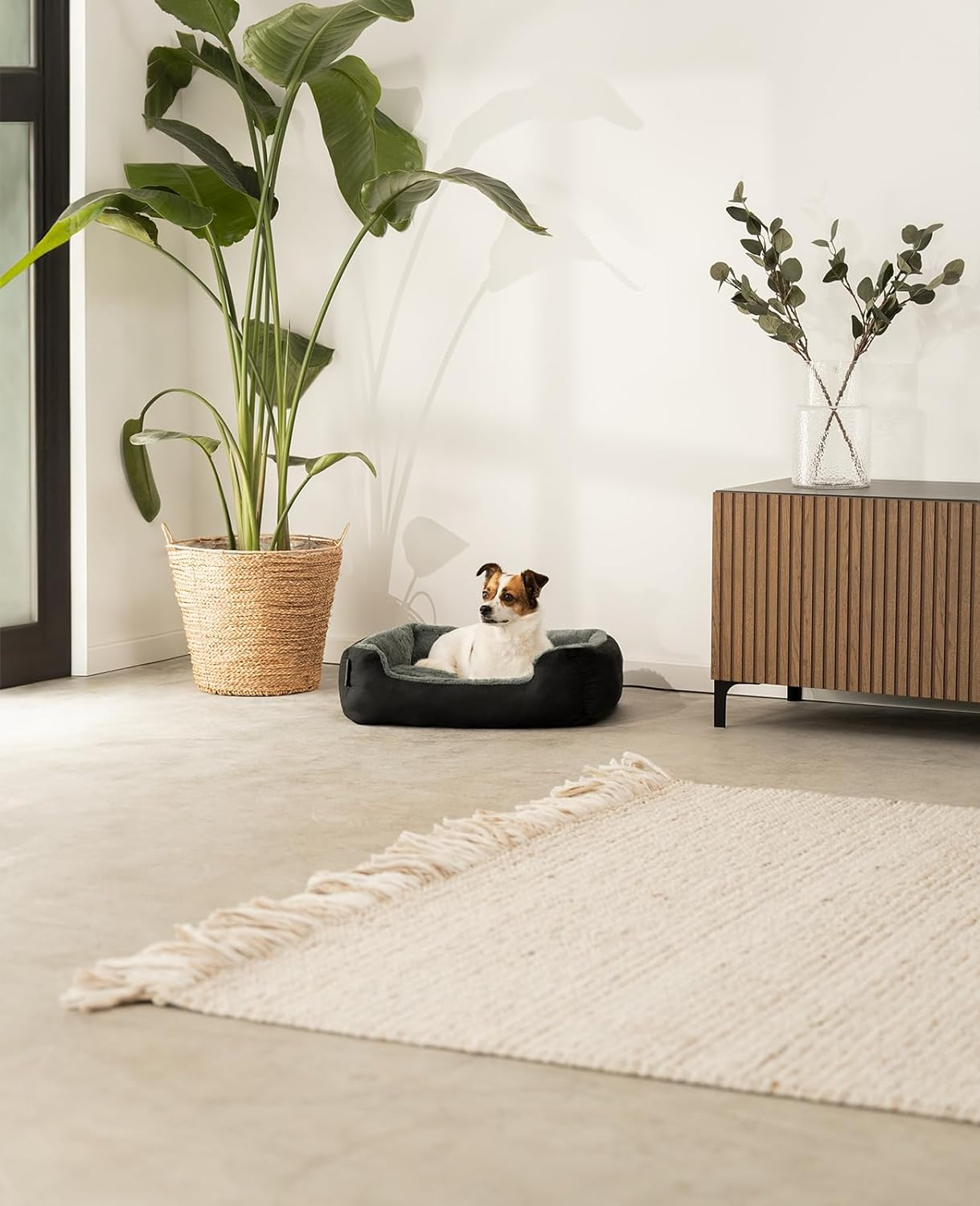 Dibea &ndash; Dog Bed &ndash; Dog Cushion &ndash; Dog Bed with Reversible Cushion (Choice of Size and Colour) image number 1