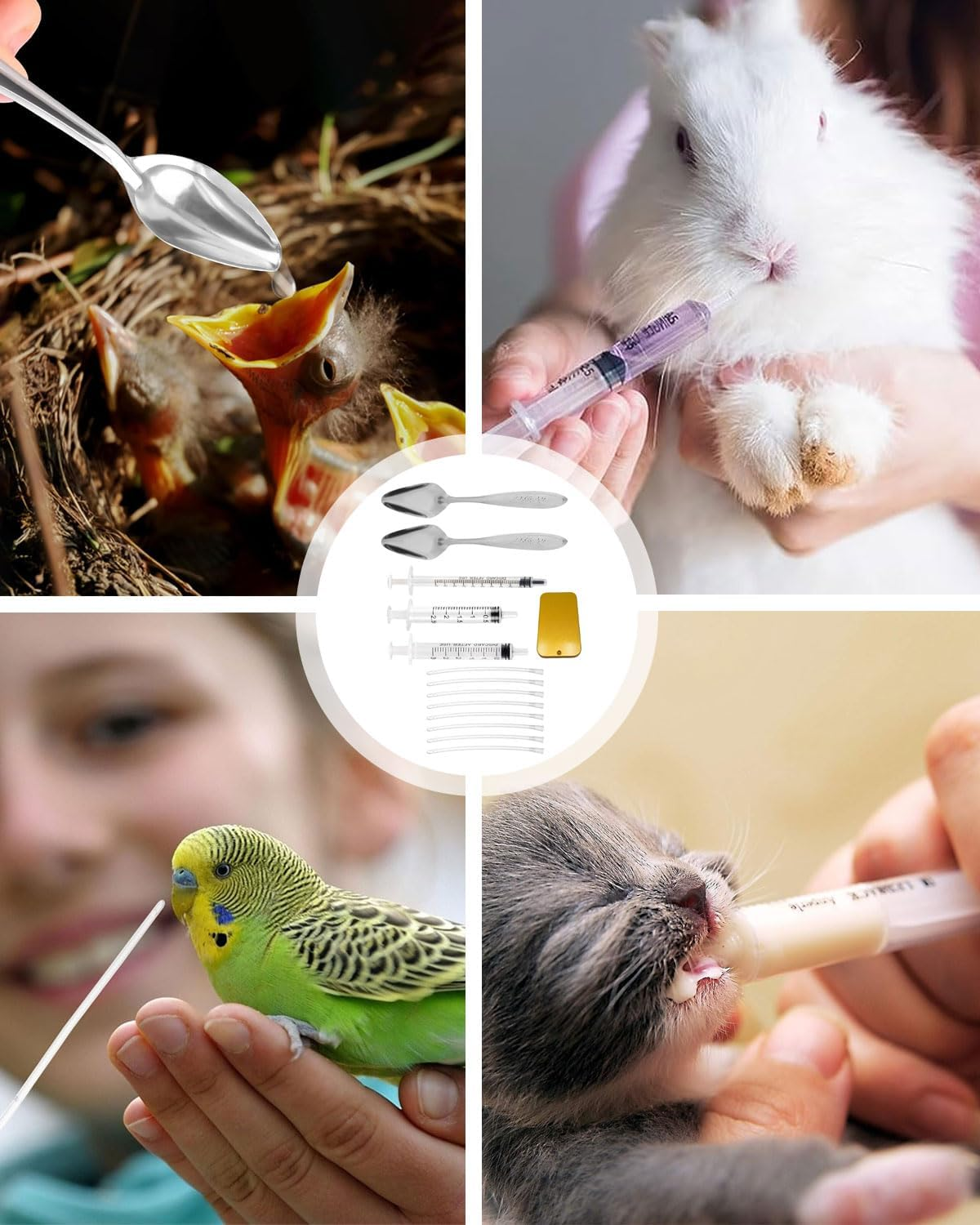TPZORJX Young Birds Feeding Hose, Includes 3 Syringes, 8 Hoses, 2 Spoons, 1 Grain Box, Hand Feeding Tool for Baby Birds and Parrots, Milk, Water, Medication, Poultry, Easy to Clean