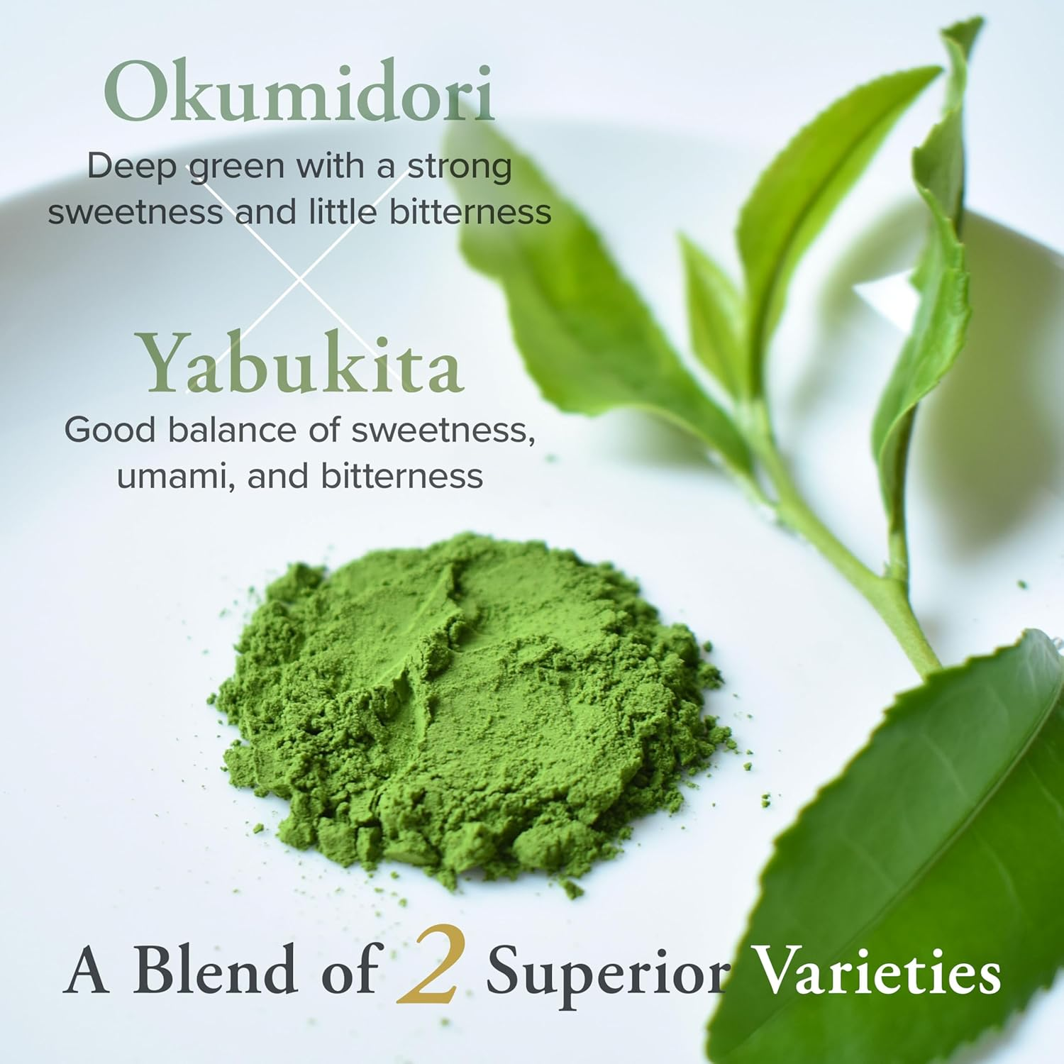 YAMASAN KYOTO UJI Ceremonial Grade Matcha, Premium First-Harvest Matcha Powder, Authentic Japanese Origin, Vegan, Sugar Free, Made in Uji, Kyoto, Japan, 50G image number 5