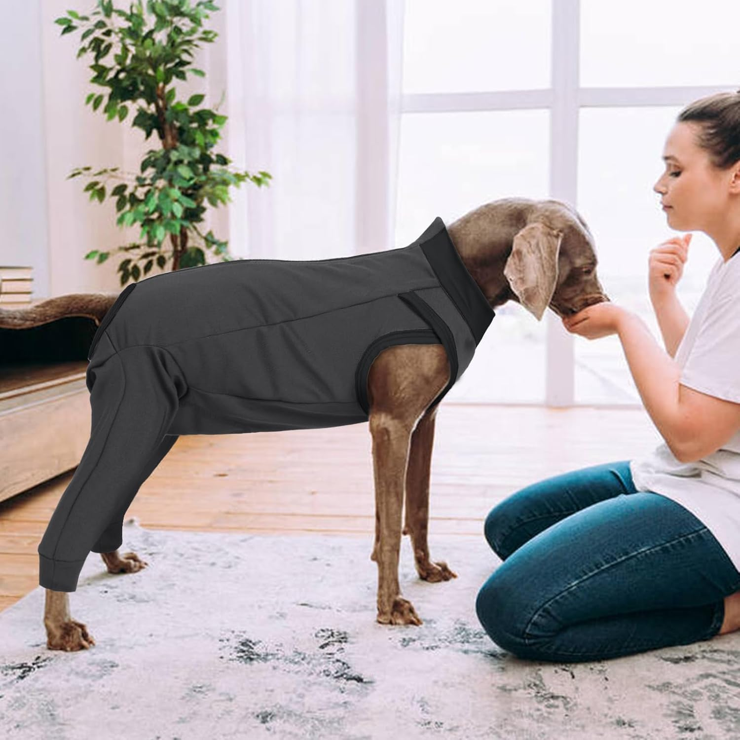 Lelepet Dog Recovery Suit for Front Legs, Dog Sleeve to Stop Licking, Elbow Protector for Leg Injuries Shoulder Wounds after Surgery Male Female,Zippered Long-Sleeved Shirt Cone Alternative(S-3Xl) image number 4