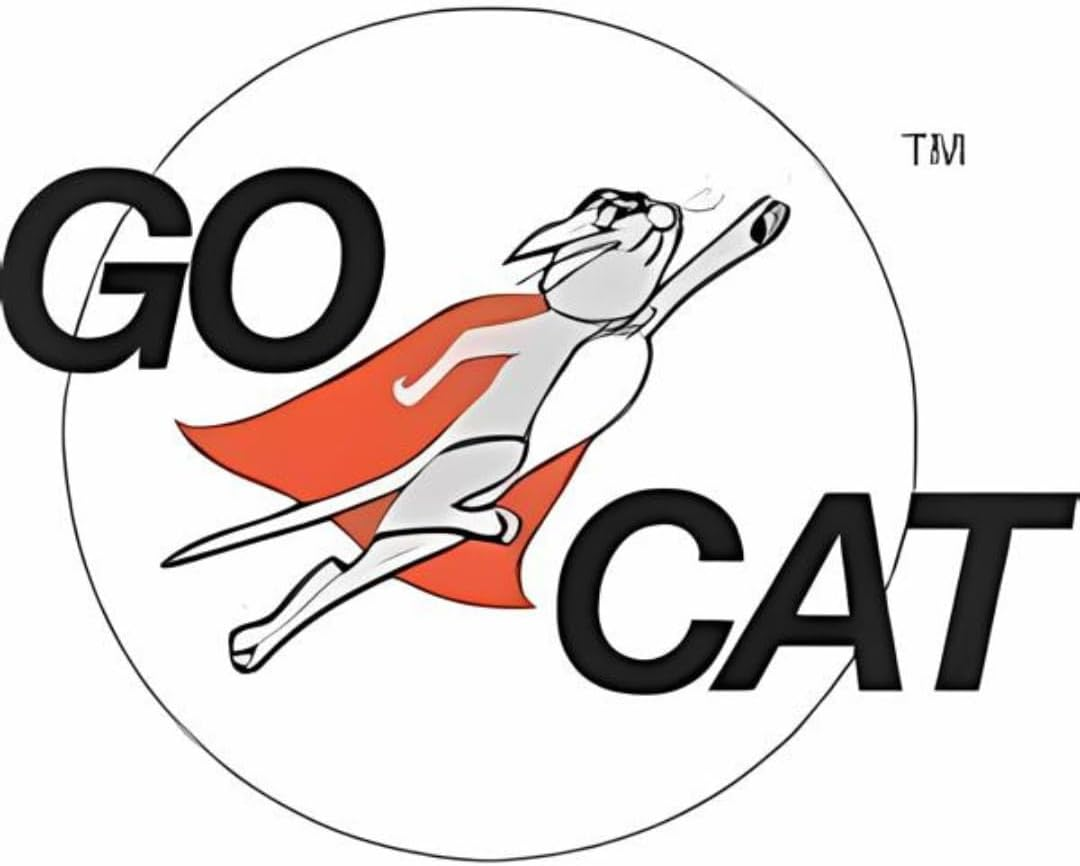 Go Cat DA Fish Teaser Wand with Toy Fish