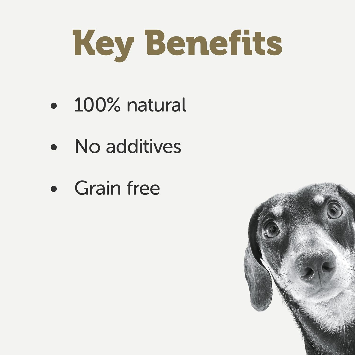 Applaws Taste Toppers 100% Natural Wet Dog Food Chicken Breast Stew Selection Tin 156G (Pack of 5), Limited Ingredients Pet Food image number 1