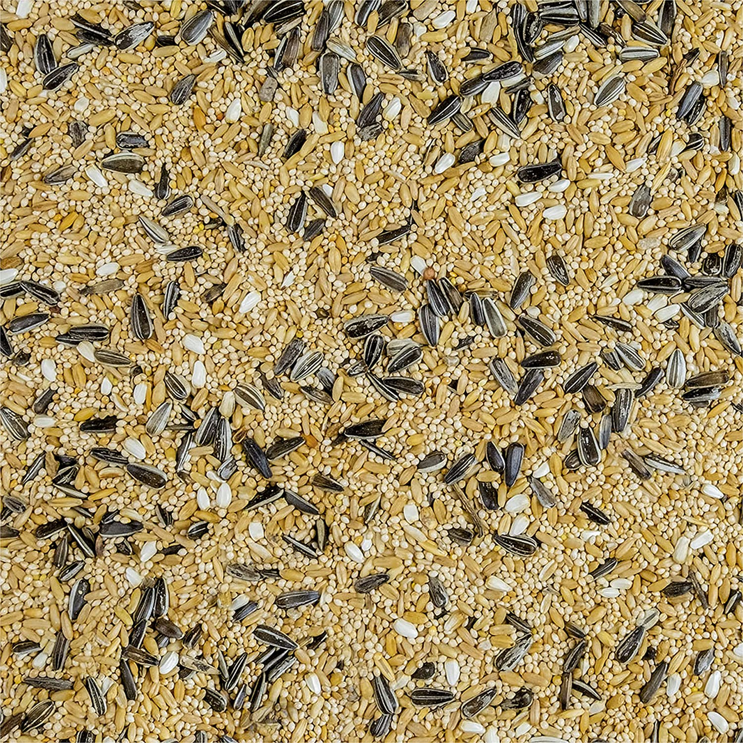 Golden Cob Small Parrot Seed Mix 10Kg &ndash; Premium, Breeder'S Quality Bird Feed with Added Vitamins & Iodine &ndash; Mix of at Least 5 Millets Grains and Seeds &ndash; Bird Food Made in Australia for Small Parrots image number 4