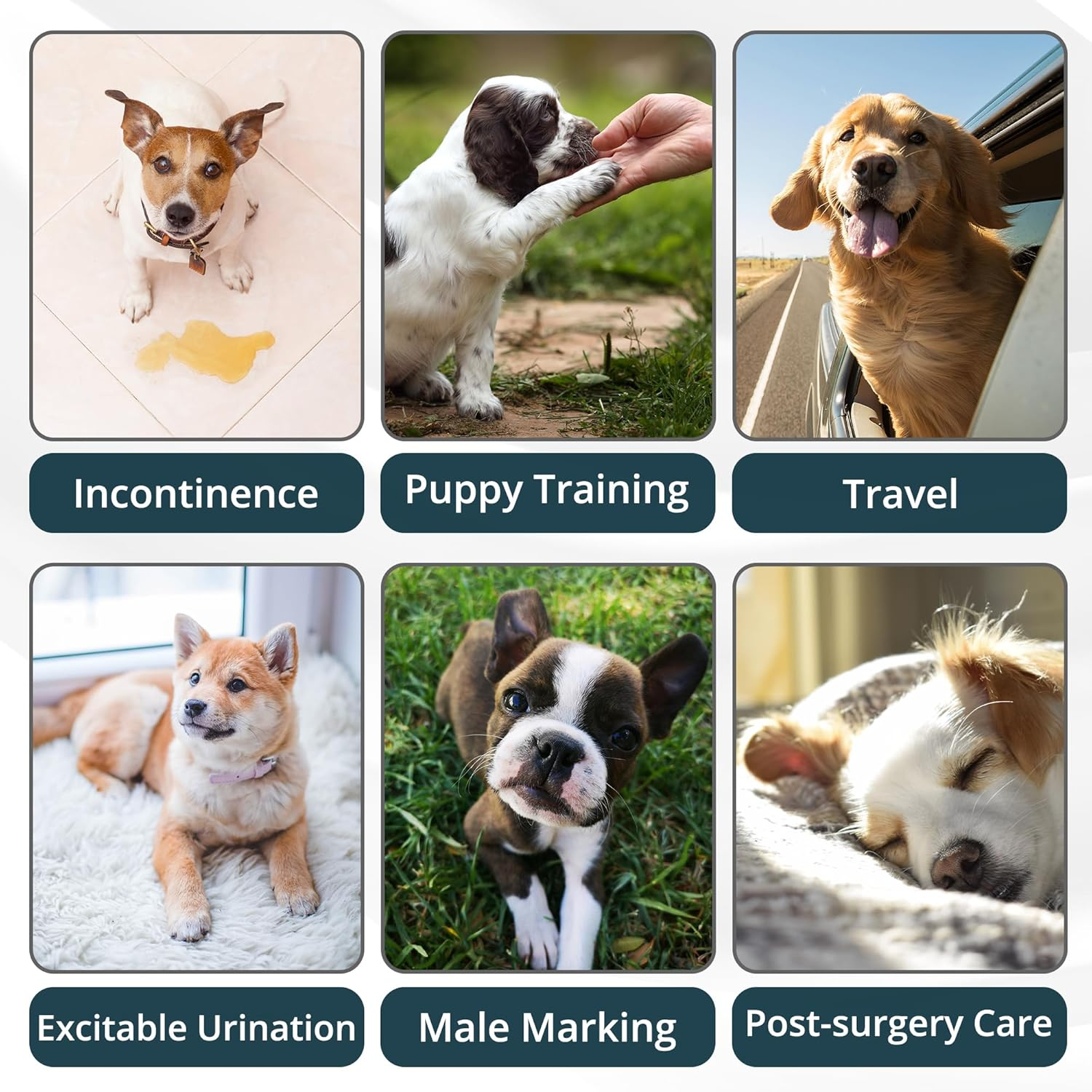 Paw Legend Washable Dog Belly Wrap Diapers for Male Dog (3 Pack,Modern Set,Small,New) image number 7