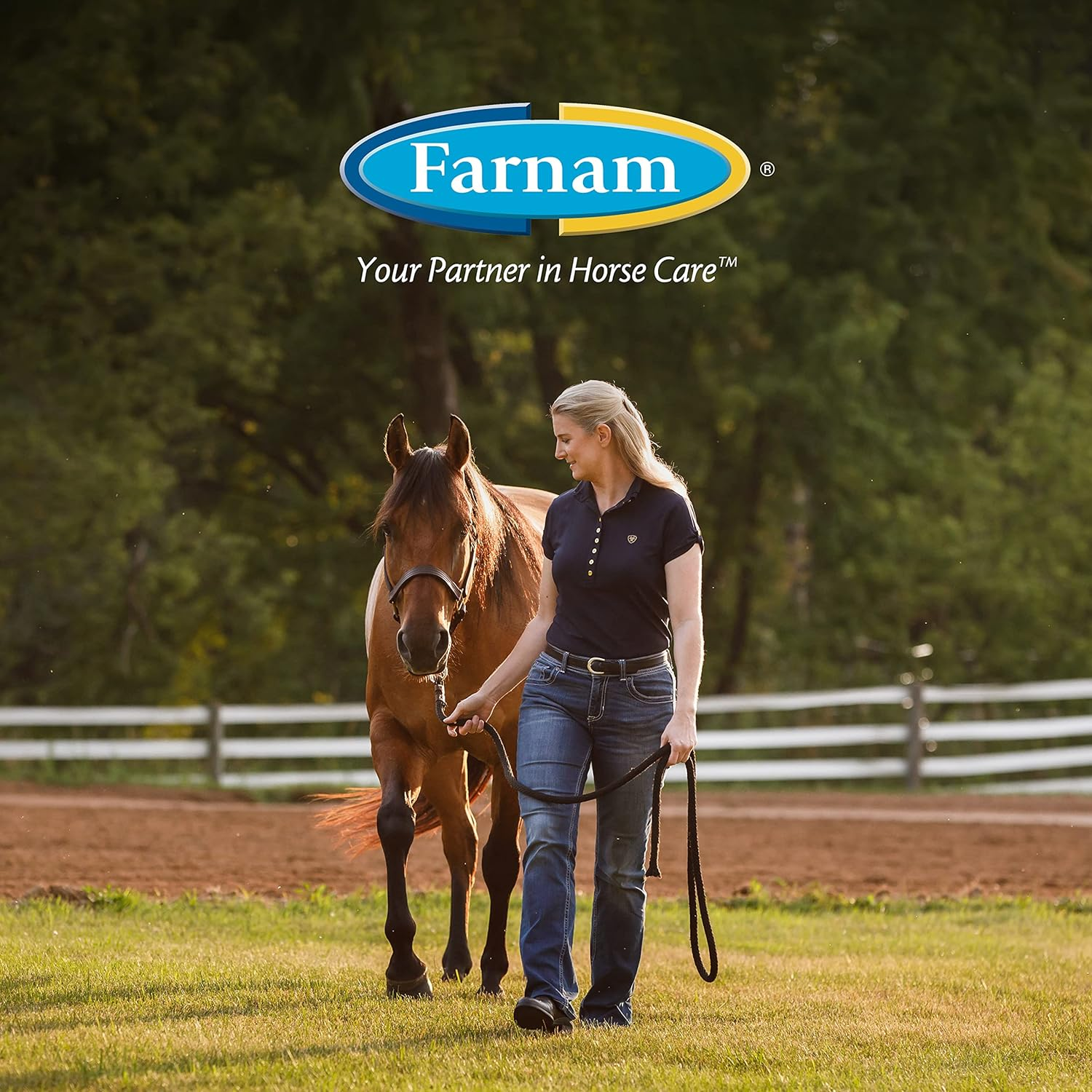 Farnam Roll-On Fly Repellent | for Horses, Ponies and Dogs | 2 Oz image number 2