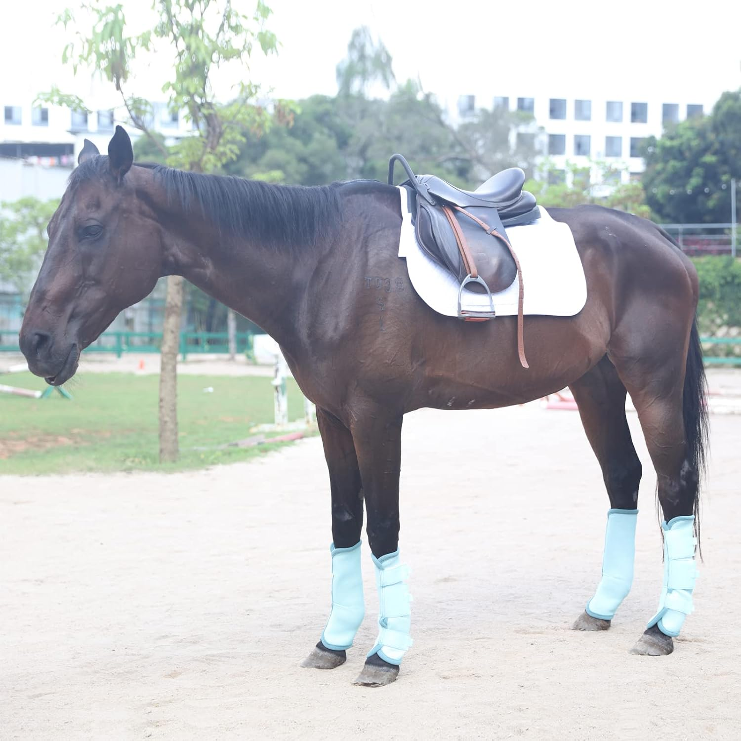 Fly Boots for Horses Set of 4, Breathable Comfy Mesh Horse Leggings Reduce Stomping, Hoof Stress, and Leg Fatigue Skyblue Pony
