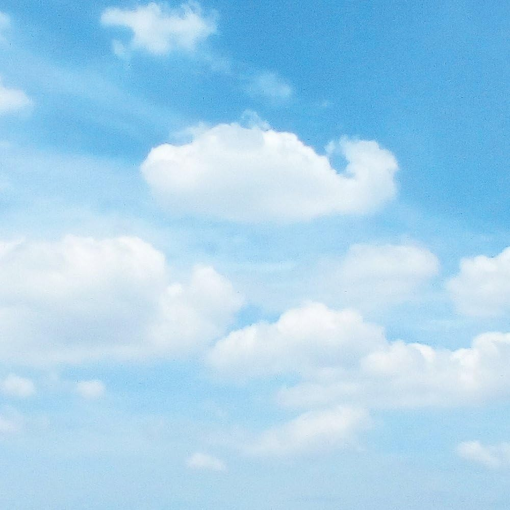 Armor All Car Air Freshener and Purifier - Odor Eliminator for Cars & Truck, Freshfx Tranquil Skies, 0.08 Fl Oz Diffuser, Pack of 4, 18593-4PK