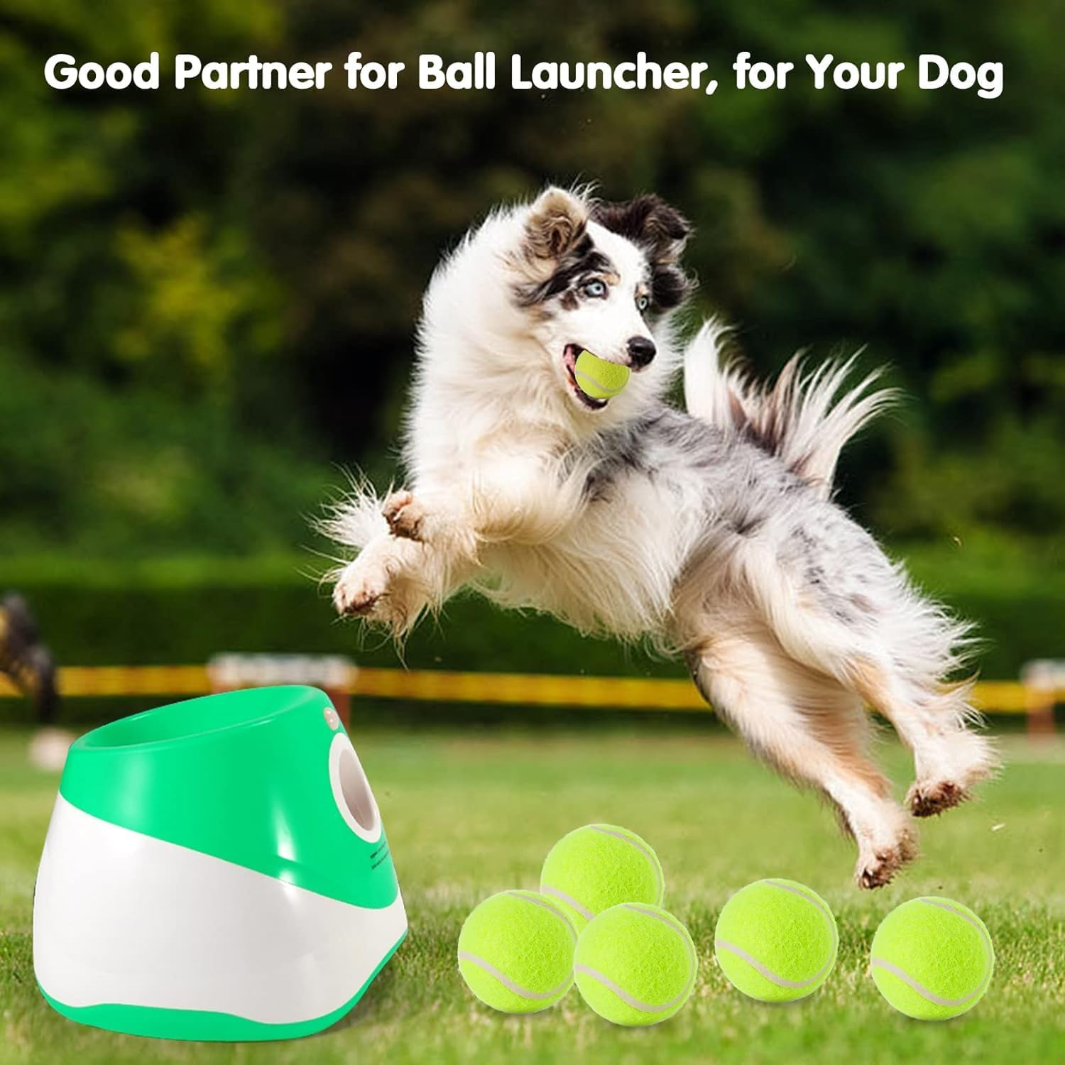 6 Pack Mini Tennis Balls for Pet Playing Fecth, 2 Inch Dogs Training Tennis Balls for Small Size Dogs, Interactive Dog Playing Balls Fits 2 Inch Dog Ball Launchers&hellip; image number 1