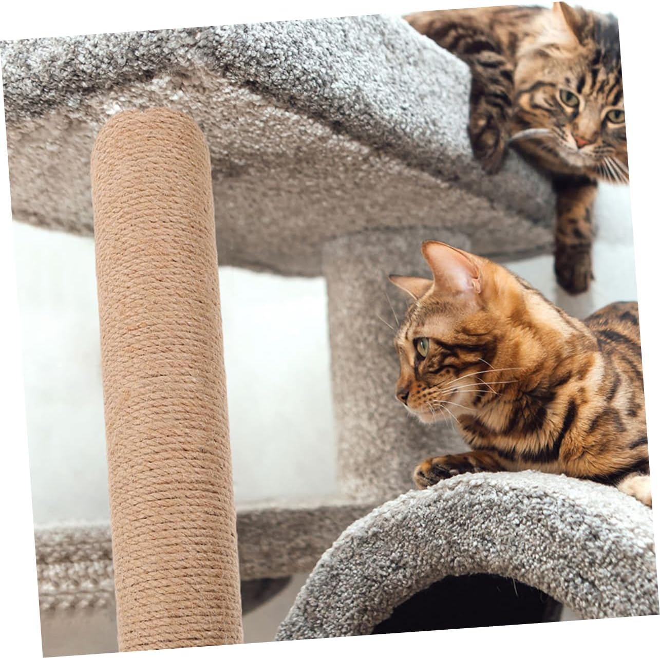 Milisten Replacement Cat Scratching Post Large Cat Scratching Post Cat Scratching Board Cat Scratcher Board Decorative Scratching Pole Lovely Scratch Post Cat Replacement Posts Jute image number 4
