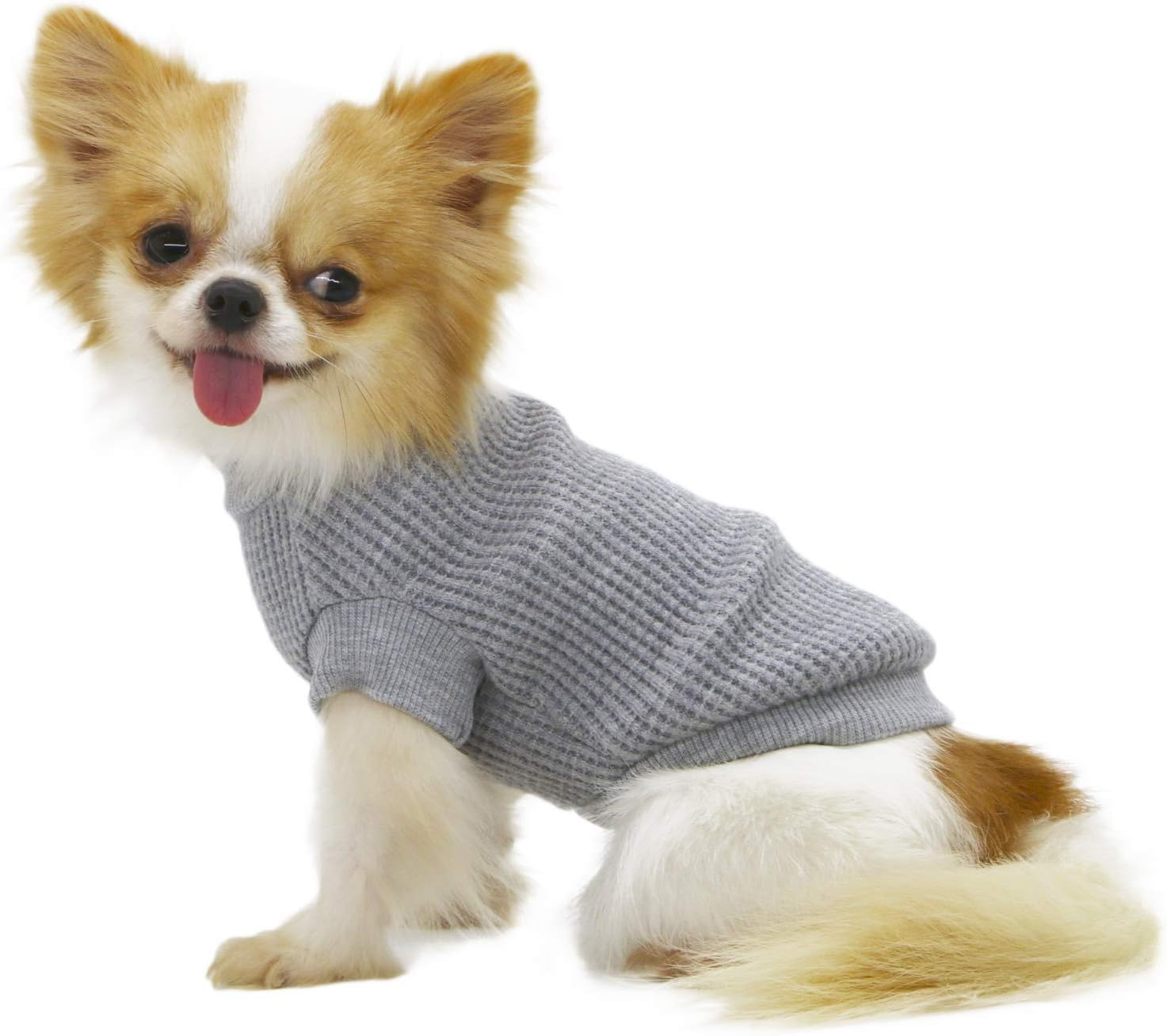 LOPHIPETS Lightweight Dog Sweaters for Puppy Small Dogs Puppy Chihuahua Yorkie Clothes-Atrovirens/Xxs