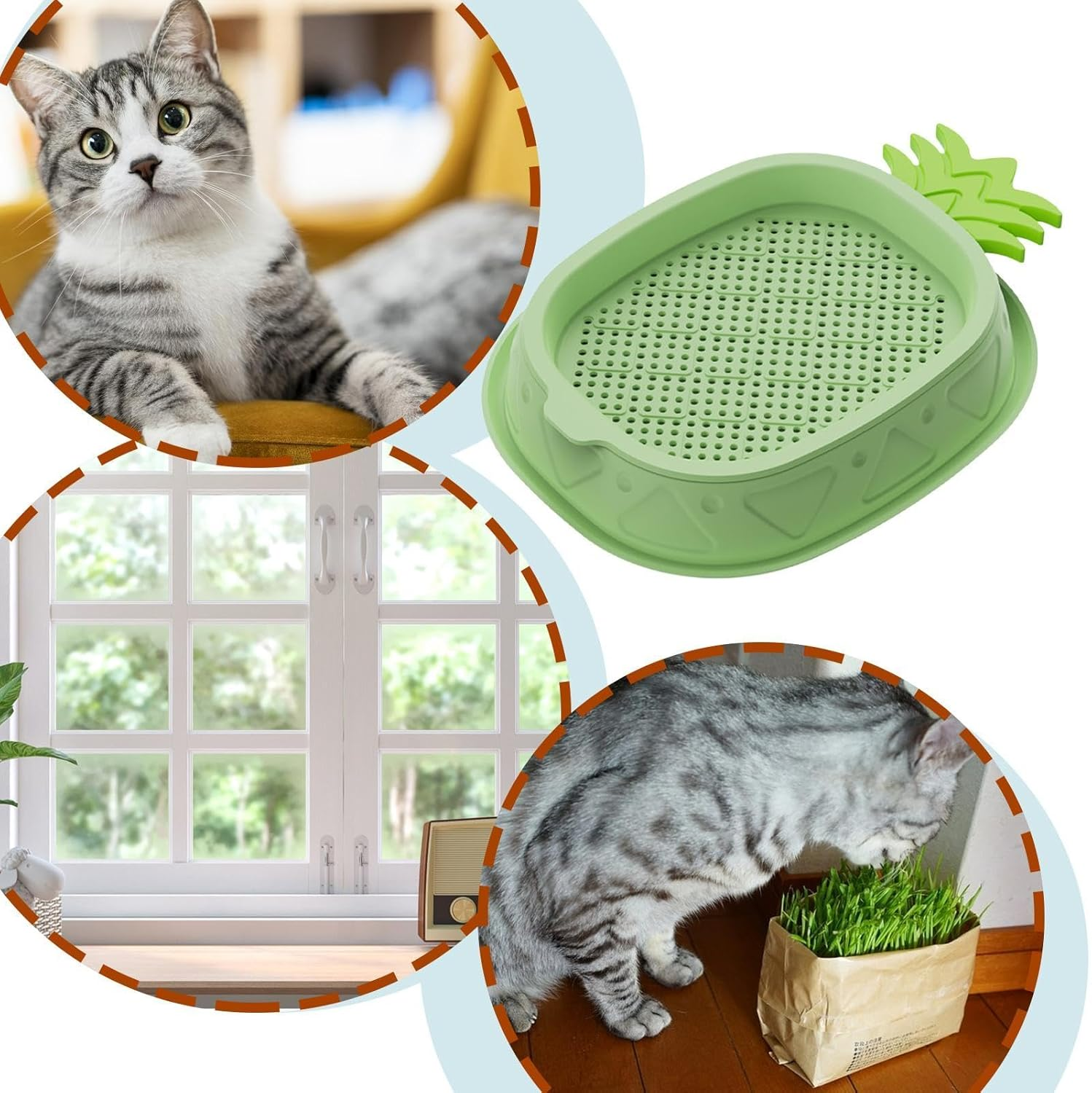 Shurzzesj Hydroponic Cat Grass Growing Box,Soilless Culture Growing Kit - Pineapple Design Wheat Grass Pot, Soil- Planting Box, Indoor Organic Catgrass, Germination Tray, Easy Water image number 2