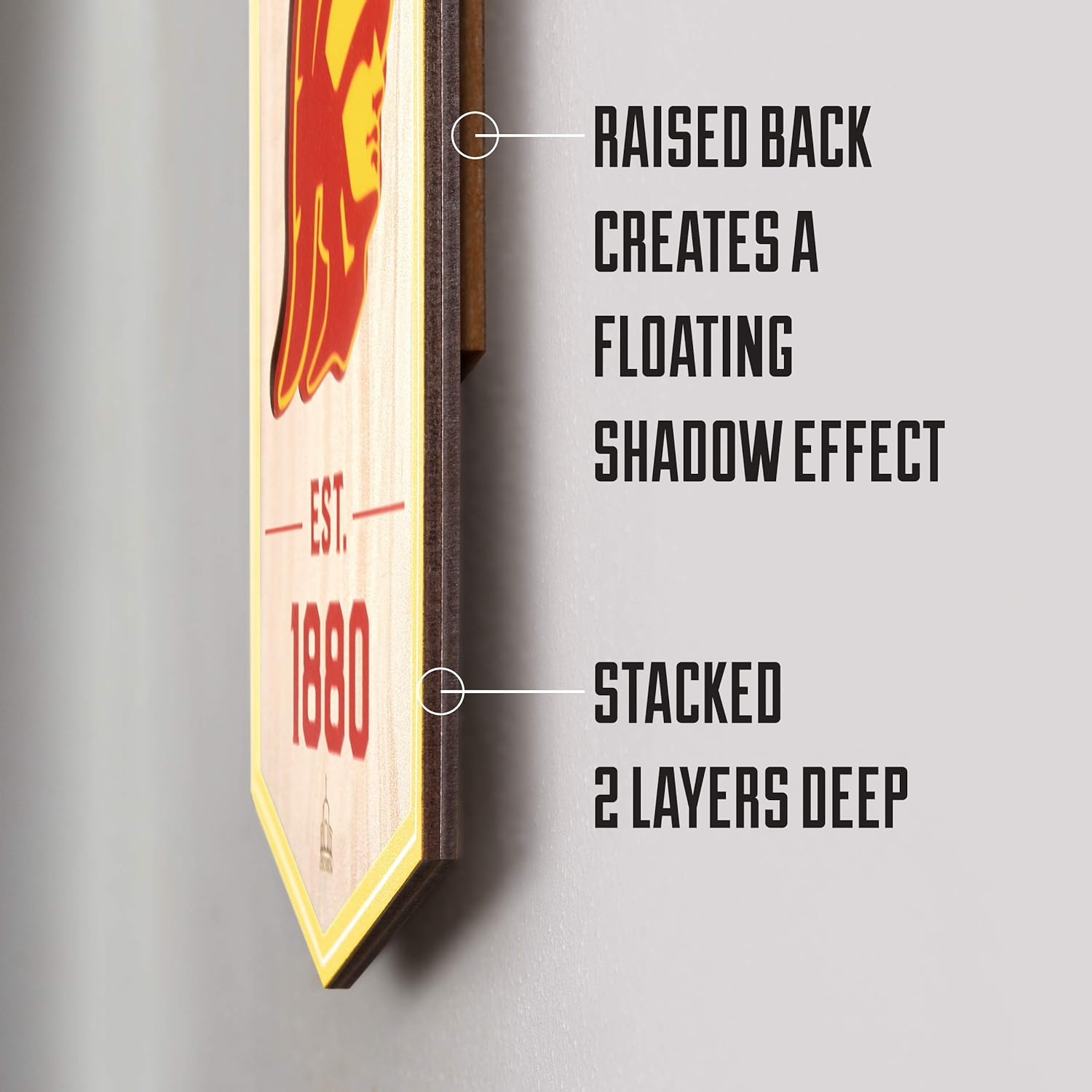 Youthefan NFL Unisex-Adult 3D Stadium Banner