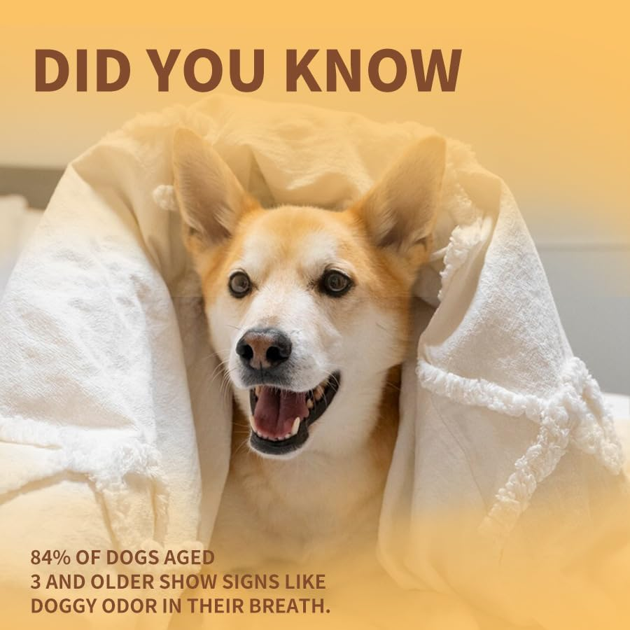 Pet Dental Cleaning Mousse, Ice Cream Flavor, 60Ml, with Natural Ingredients for Dogs and Cats, Fresh Breath Formula image number 5